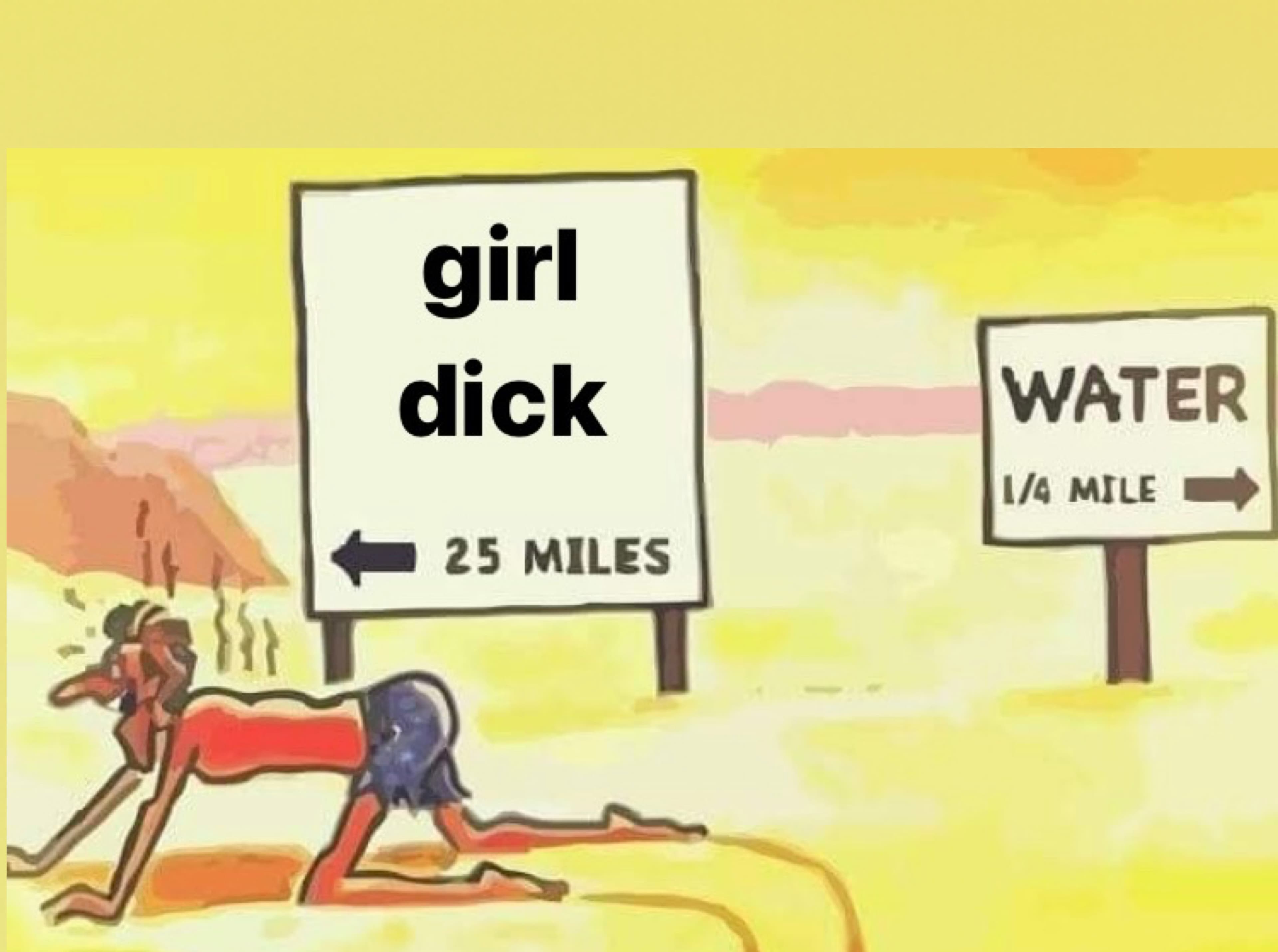 Lily banner image