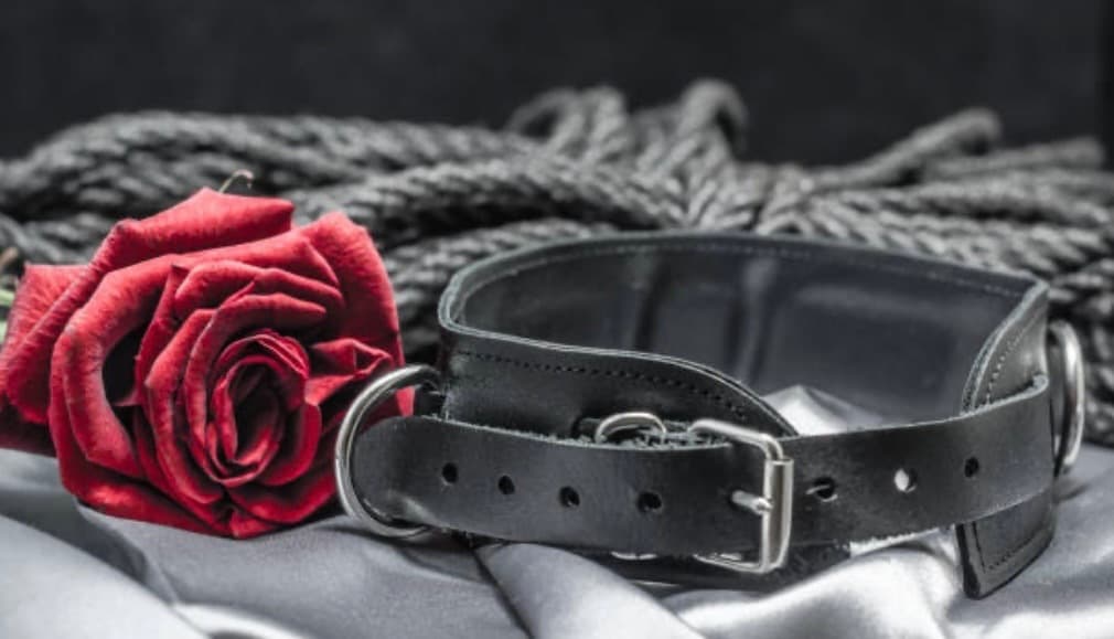 Mistress Phoenixxx banner image