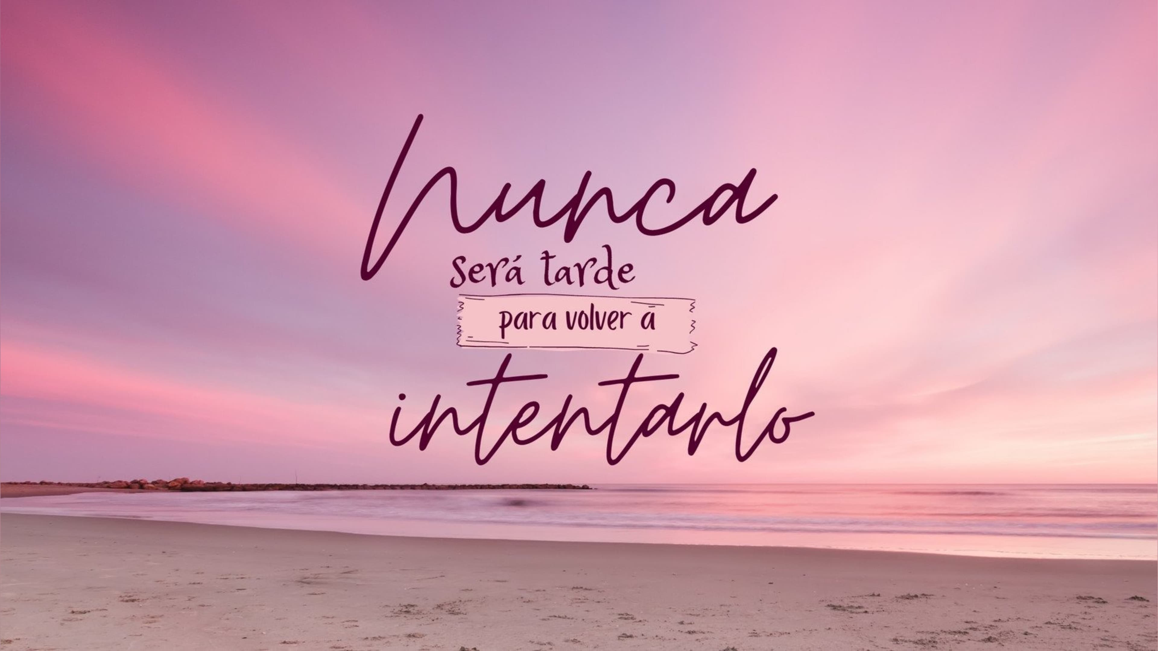 barbarita.09 banner image