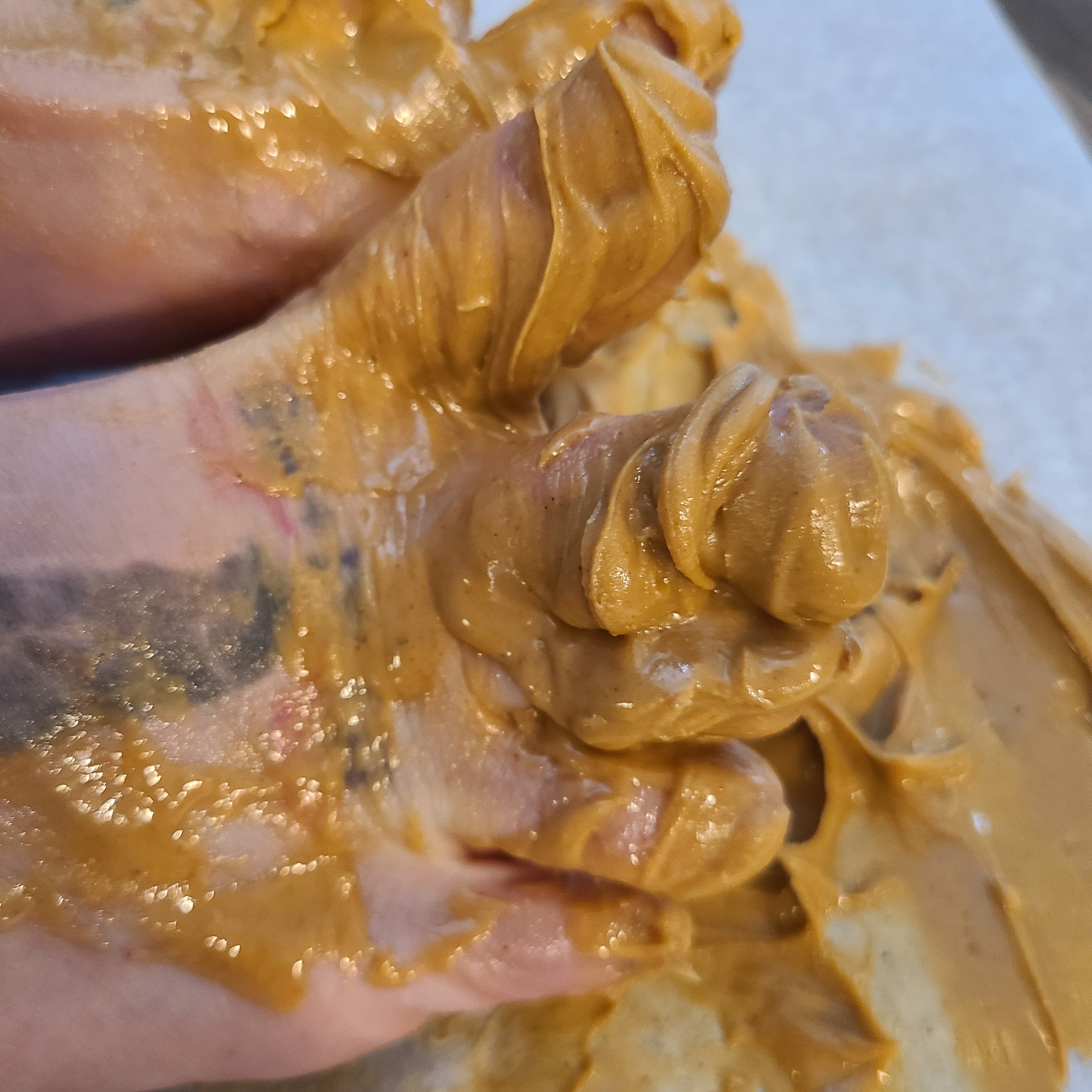 Shellyeli banner image