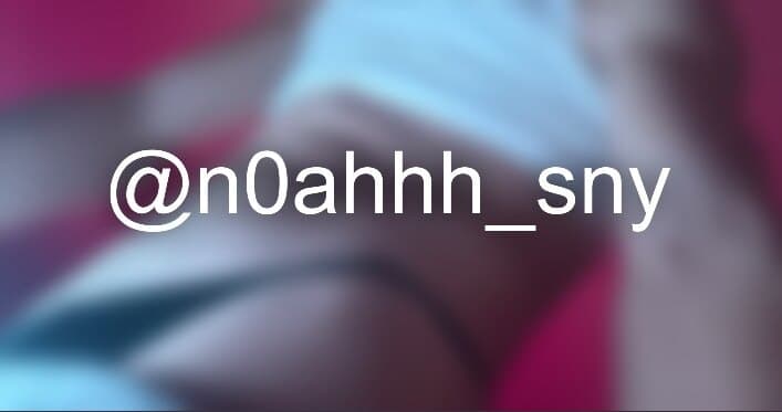 Noah Sunny banner image
