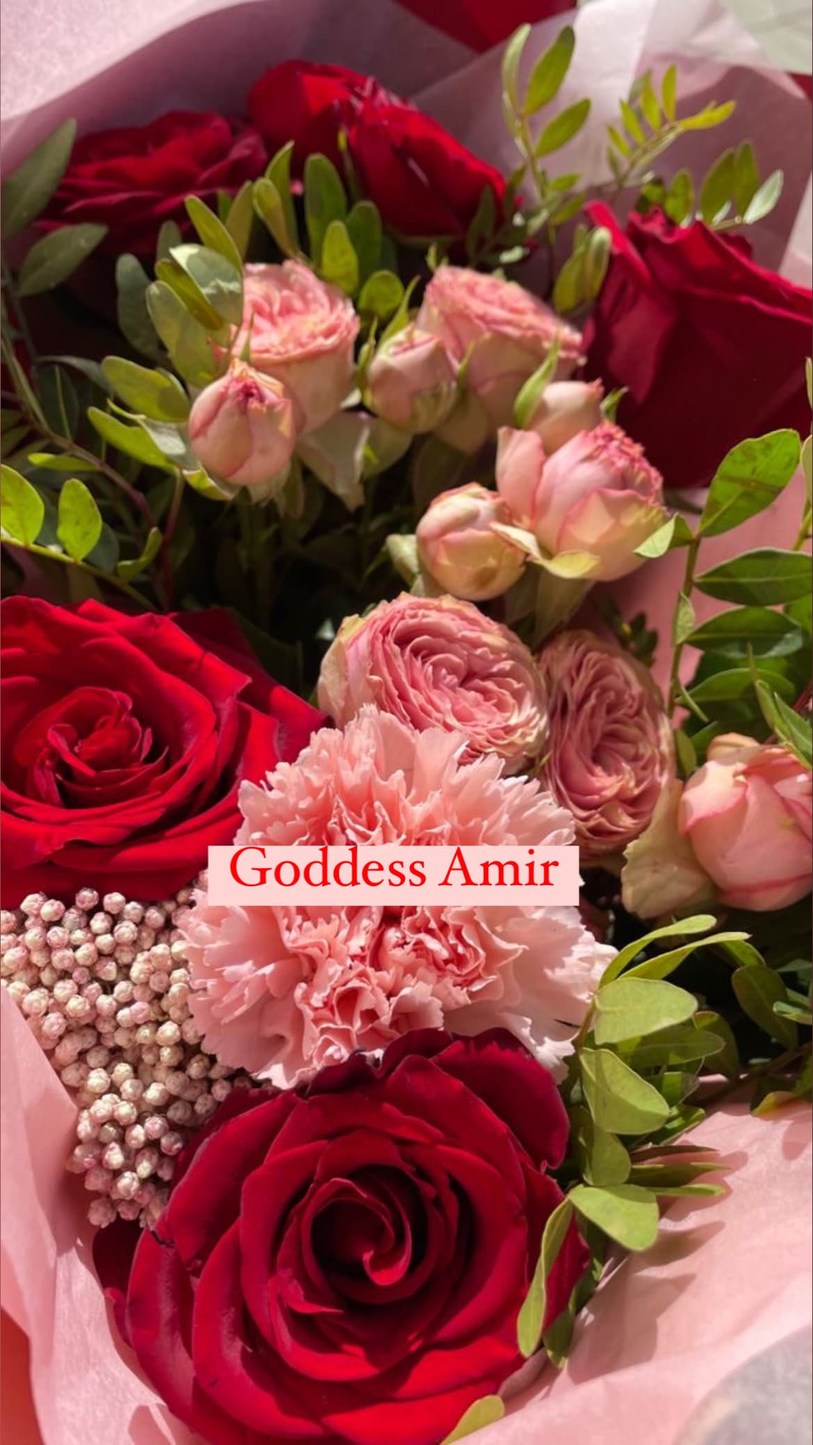 Goddess Amir banner image
