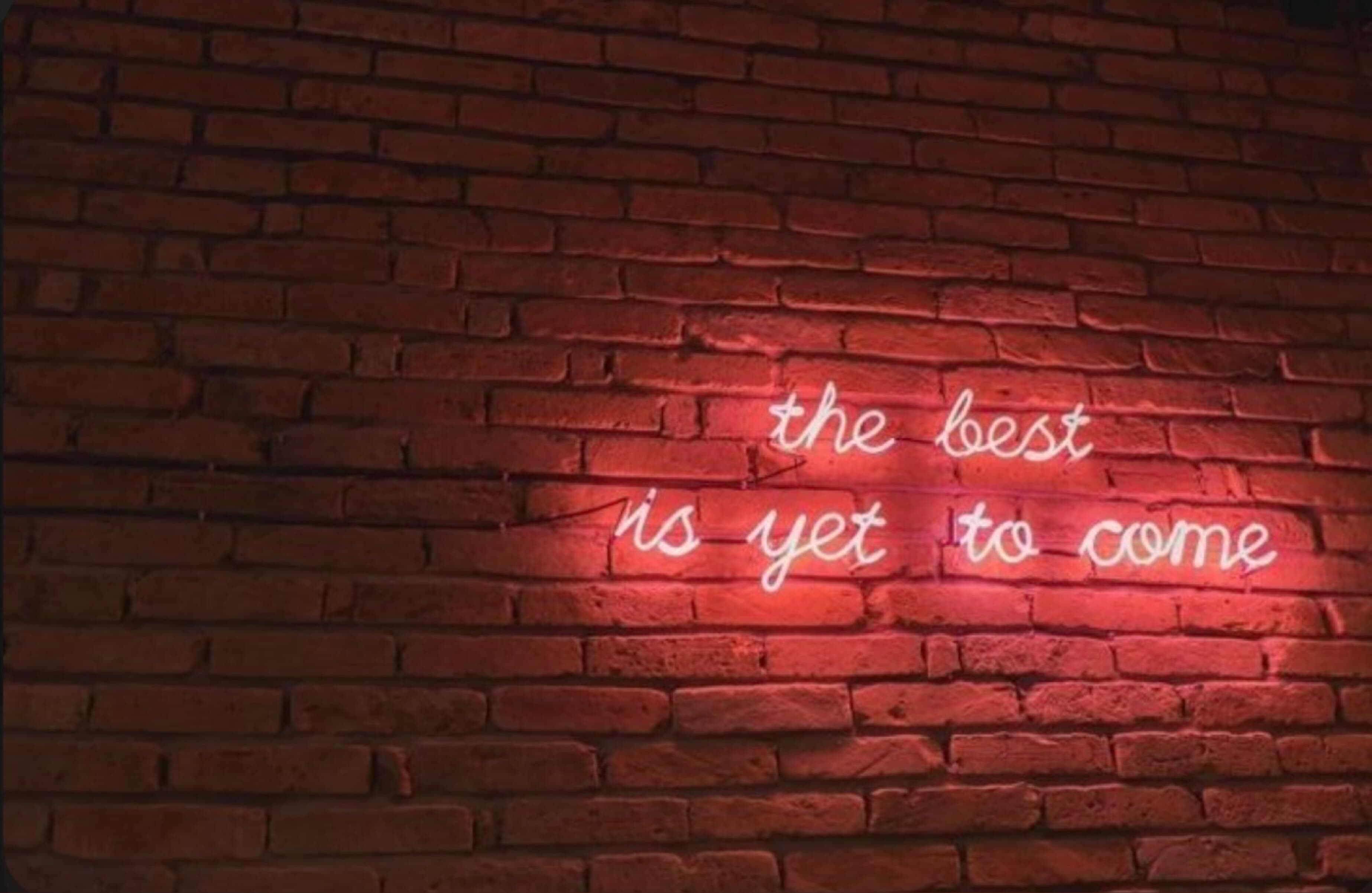 Freydis🍒🖤 banner image