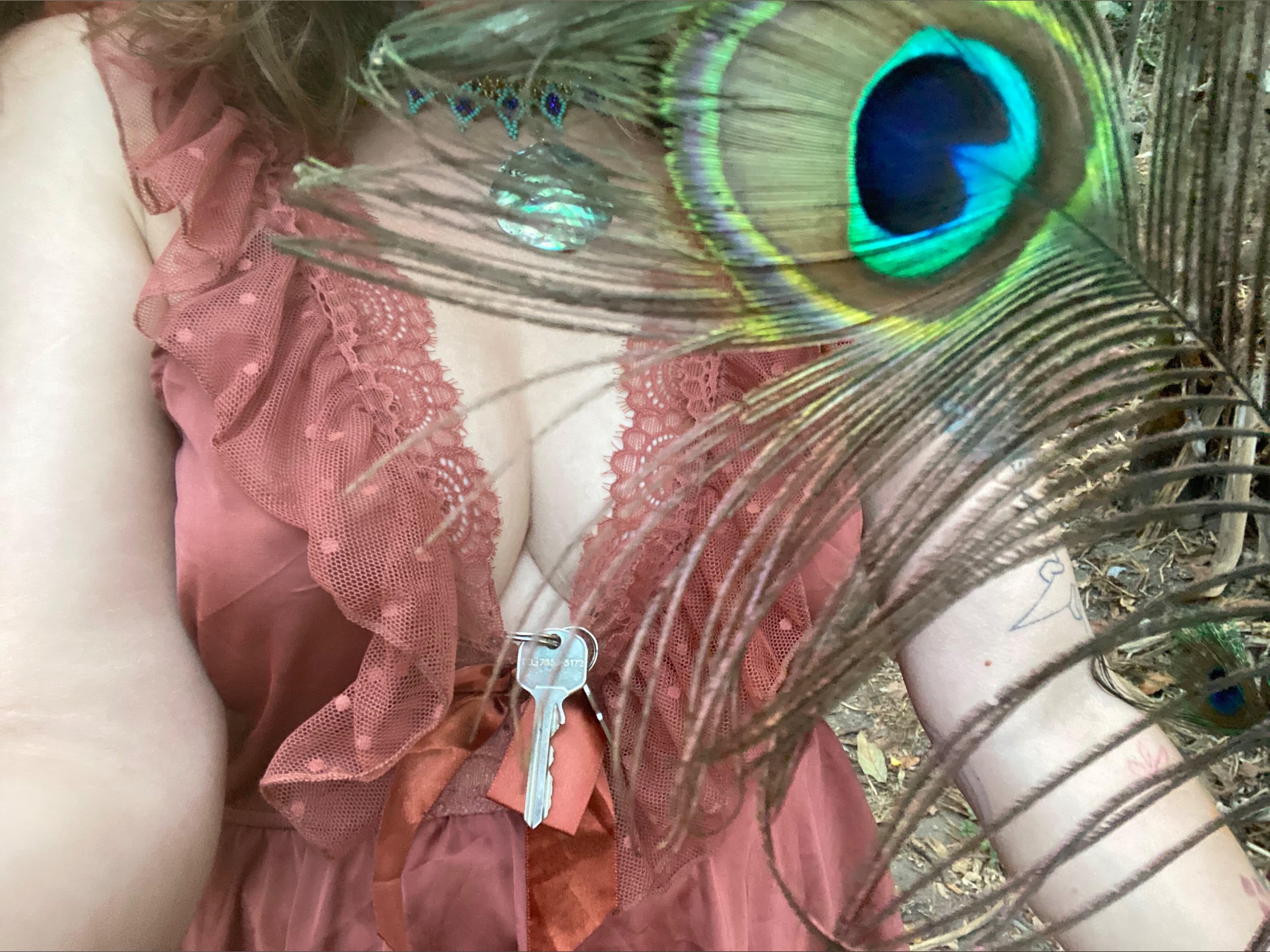 Freedom banner image