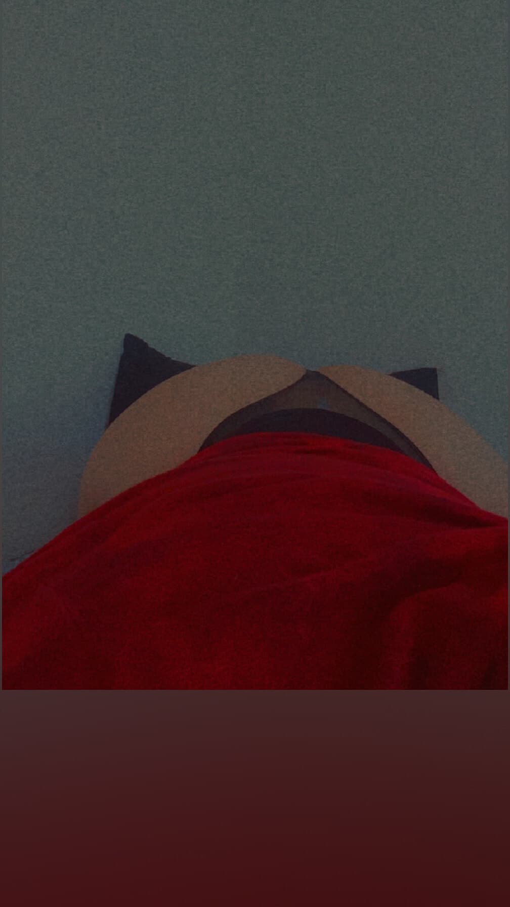 Raven🖤 banner image