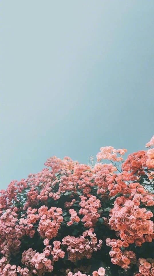 Orik banner image