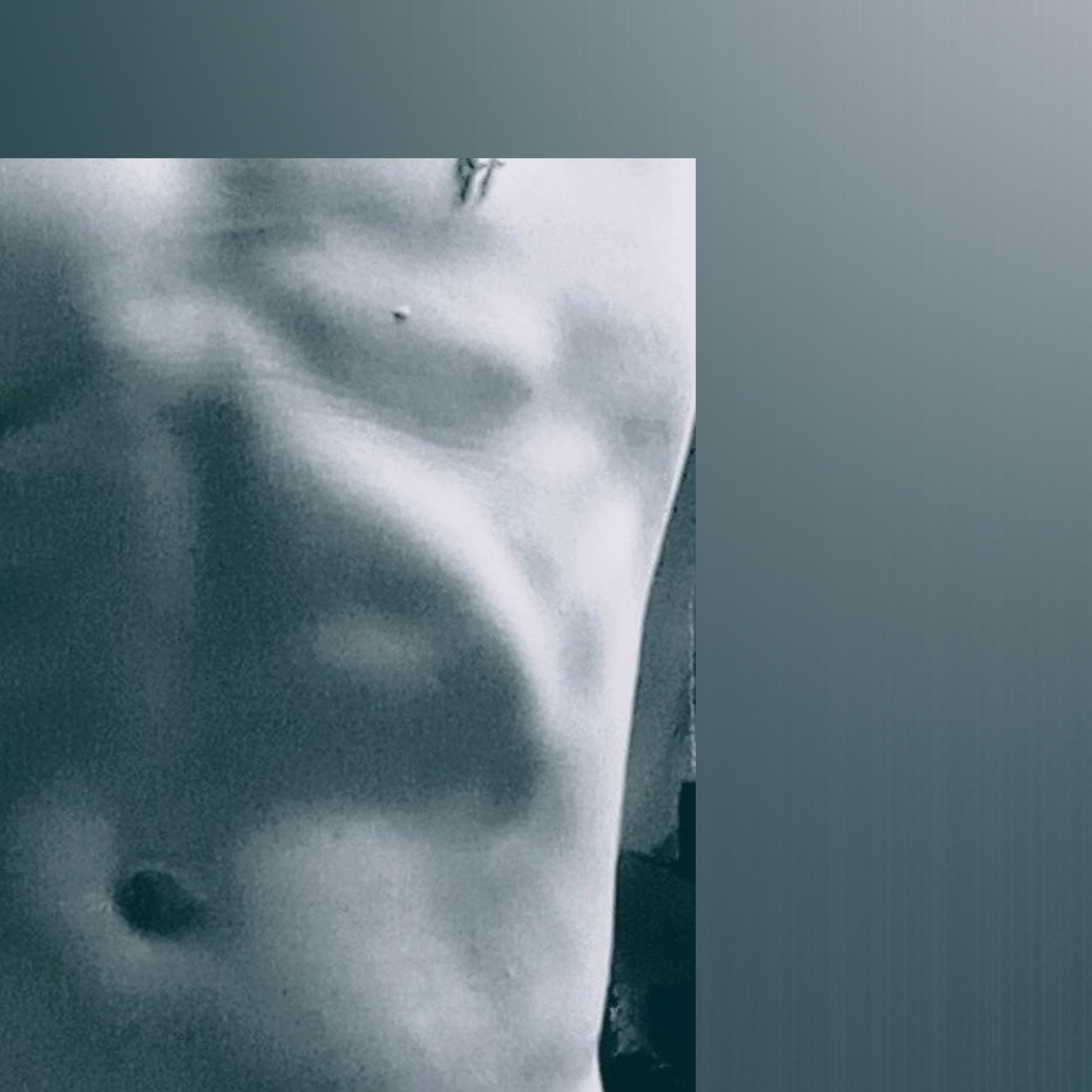 Steve banner image