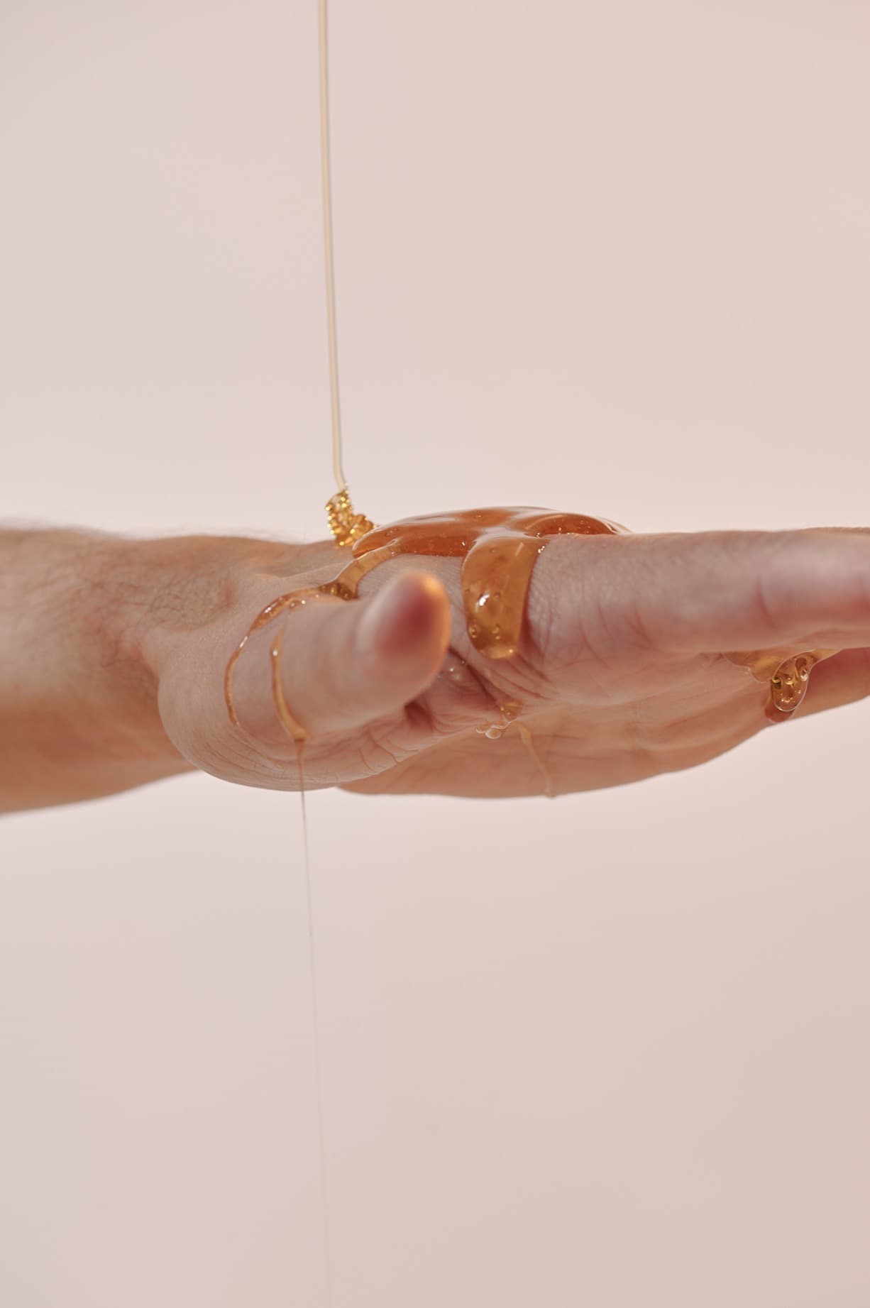 DavidsPic banner image