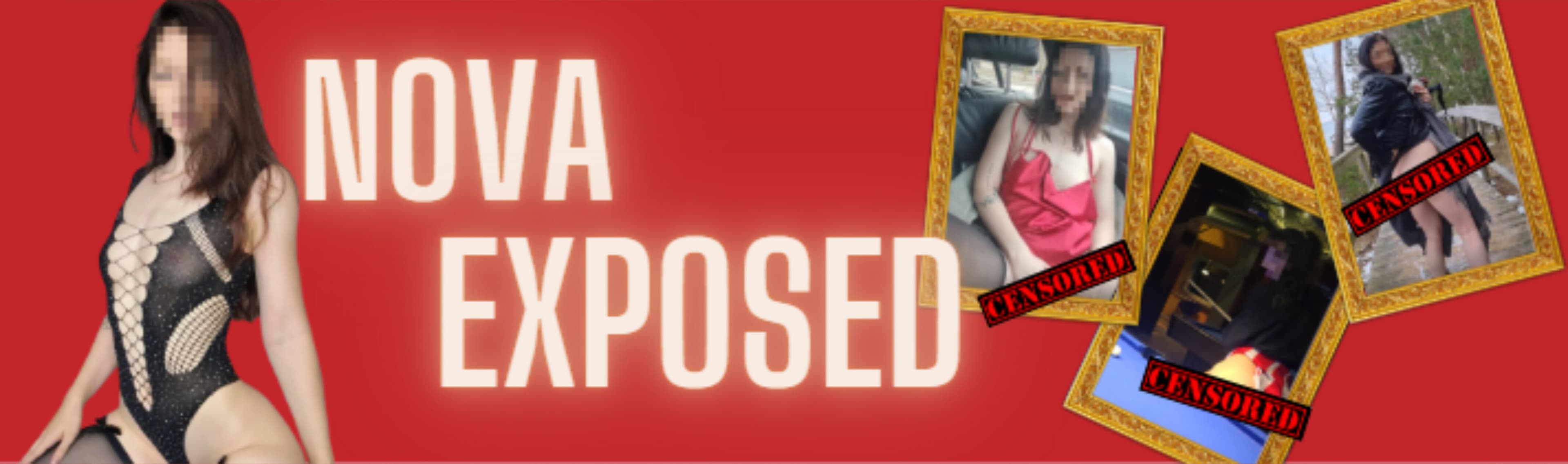 Nova Crowdgirl banner image