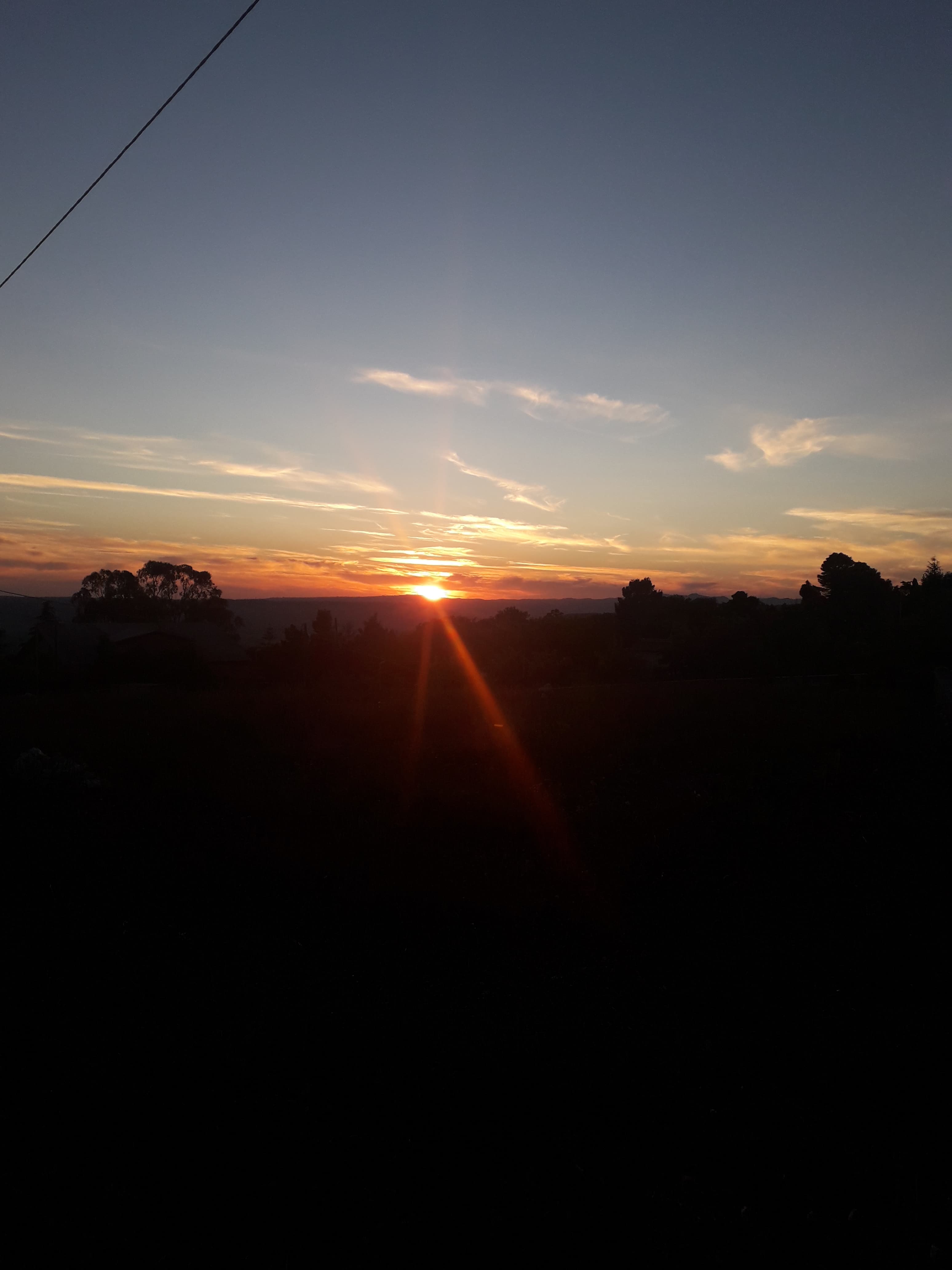 Pitu banner image