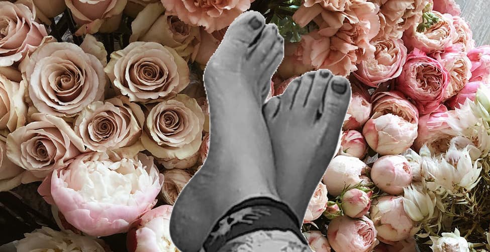 CocoRose banner image