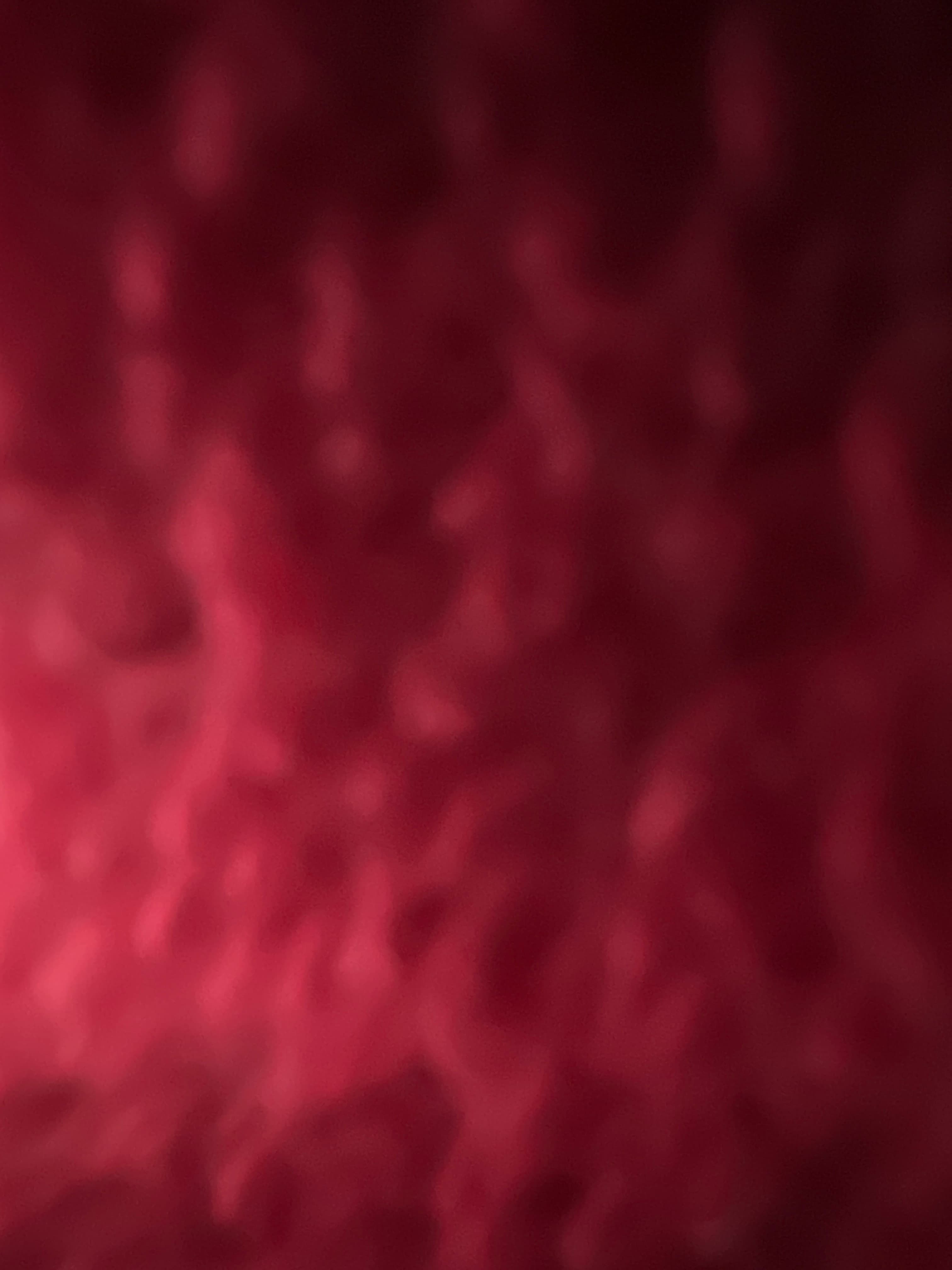 Paulina Larsson banner image