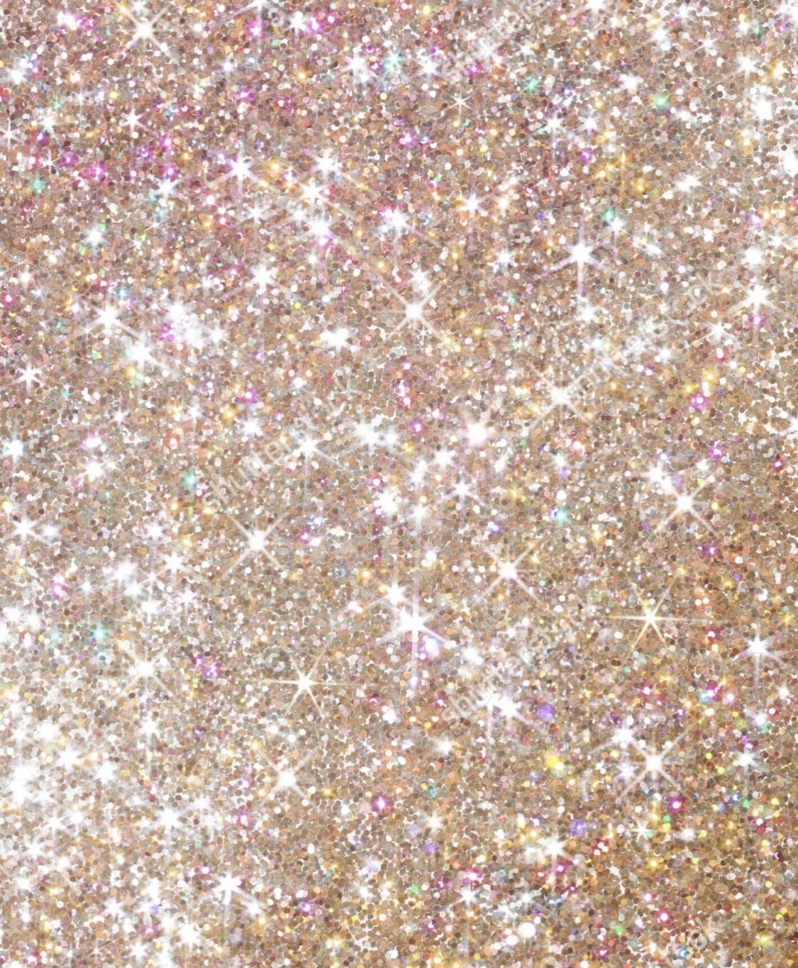 Rose banner image