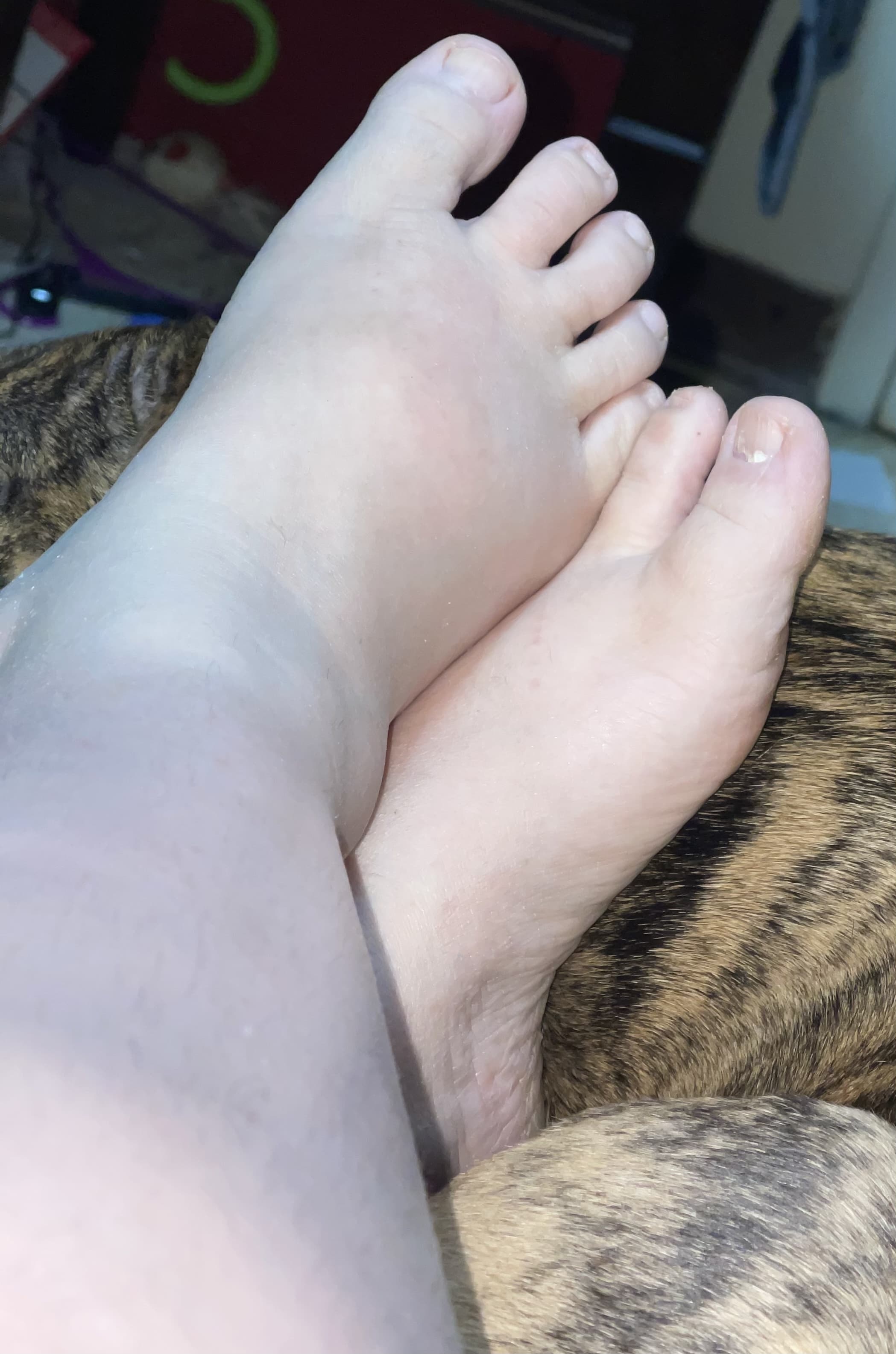Nardy’s.feet banner image