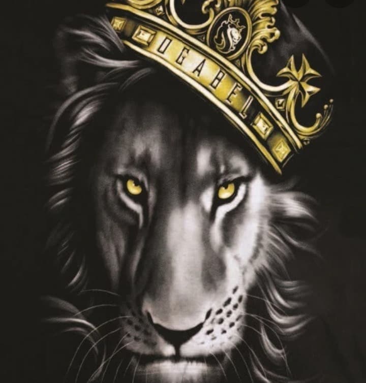 BRIAN JACKSON banner image