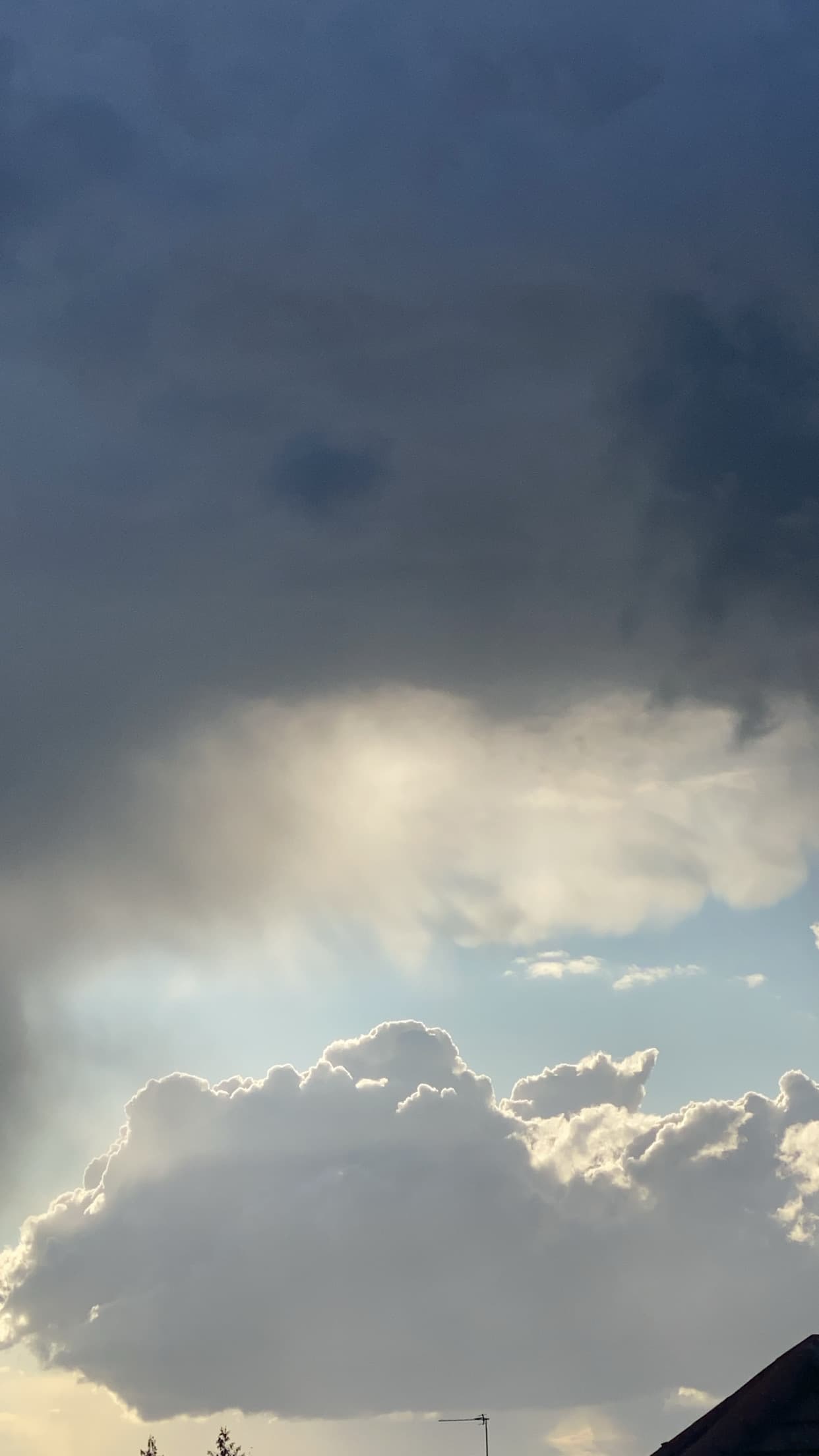 Mahogany Feet banner image
