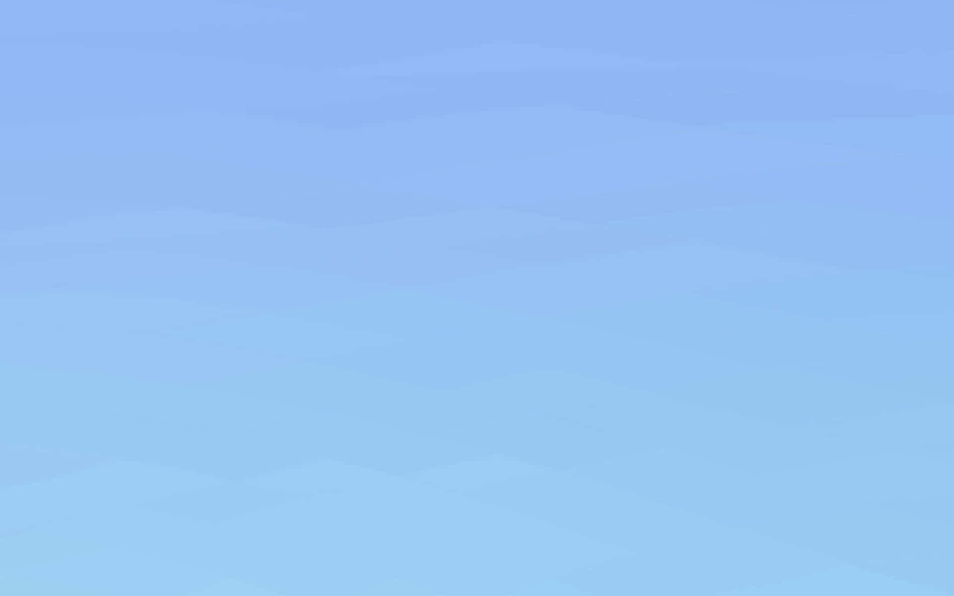 Little BB banner image