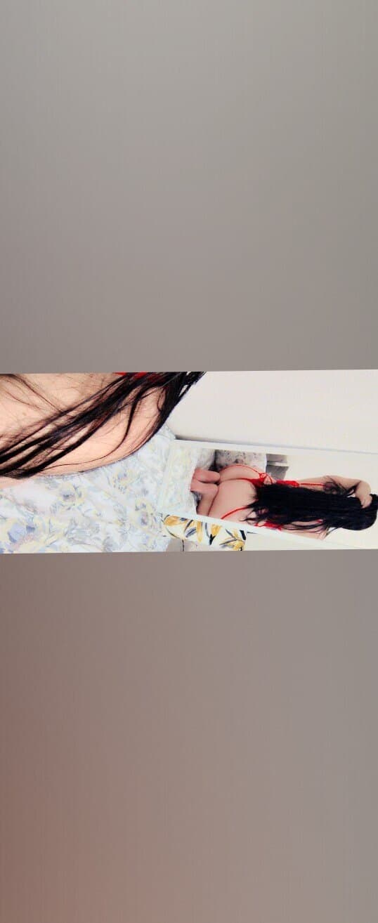 Ferny banner image