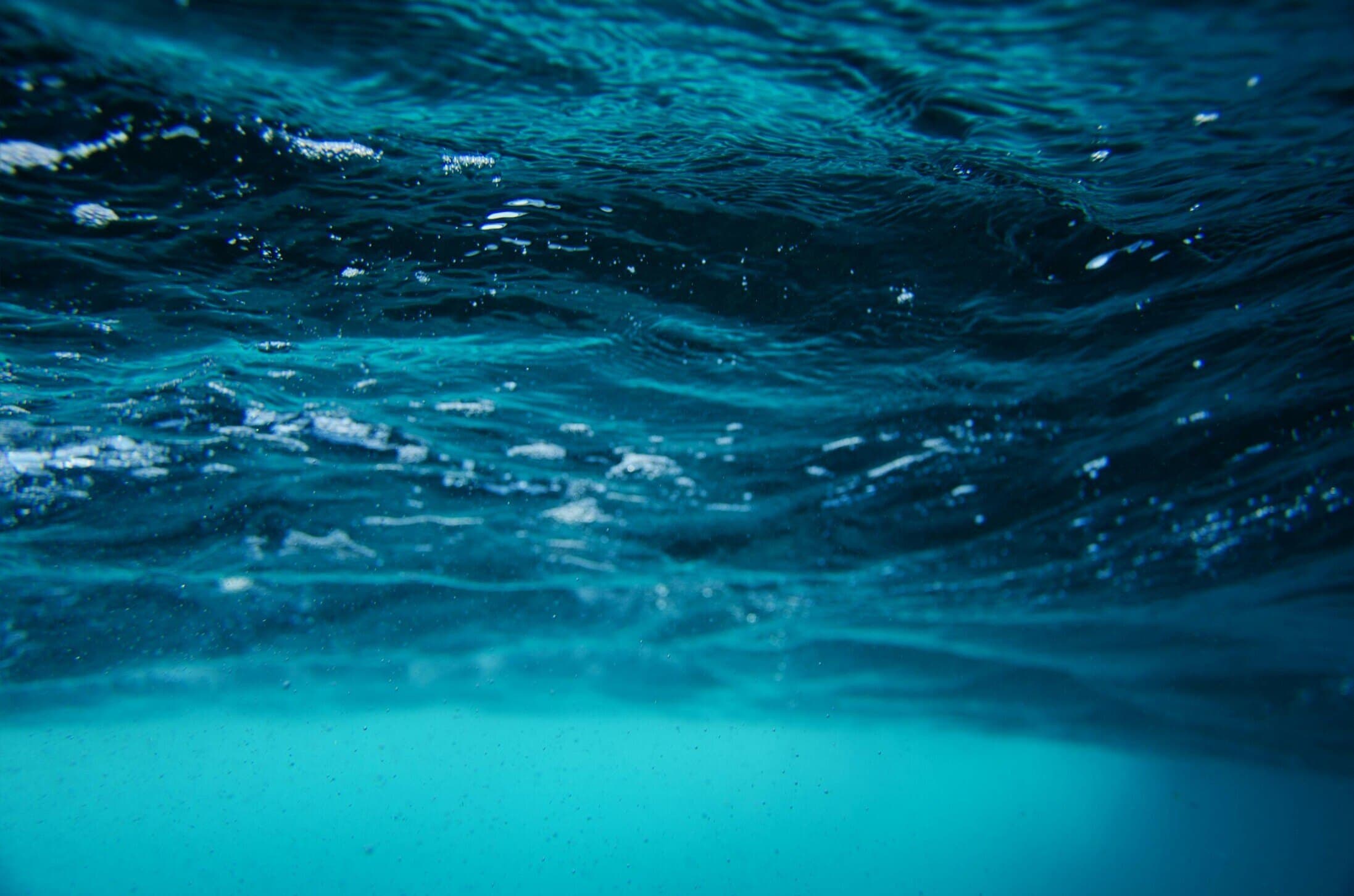 Bec ๐ค banner image