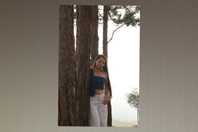 Stefi banner image