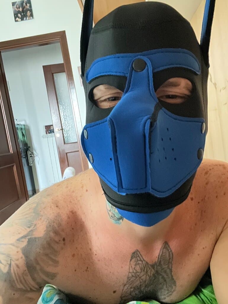 Puppyblue25 banner image