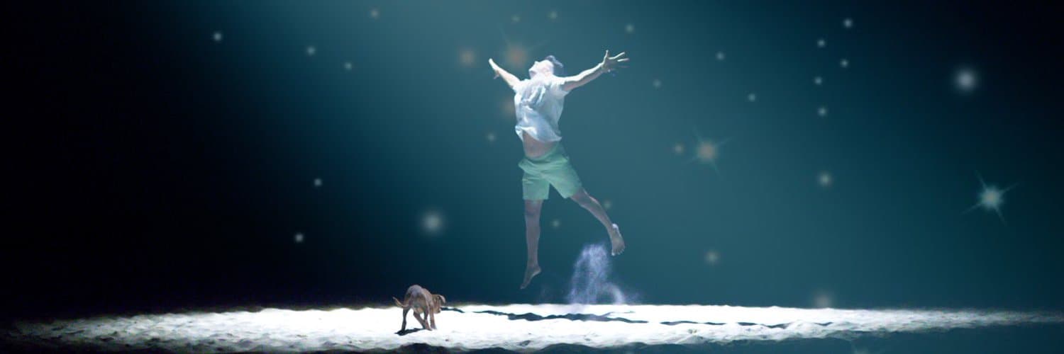 David Orland Brown banner image
