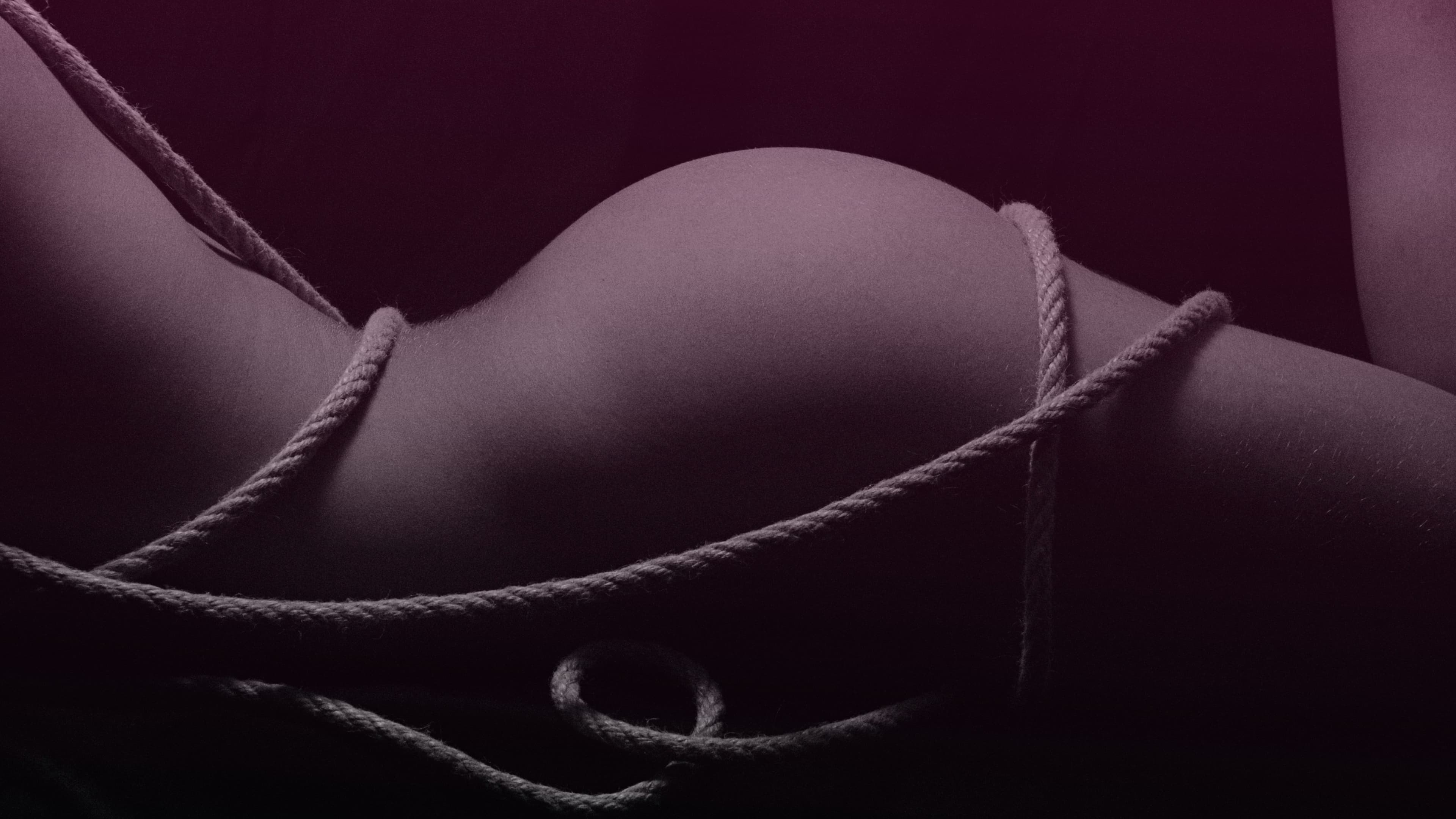 ZAYA&NARA banner image