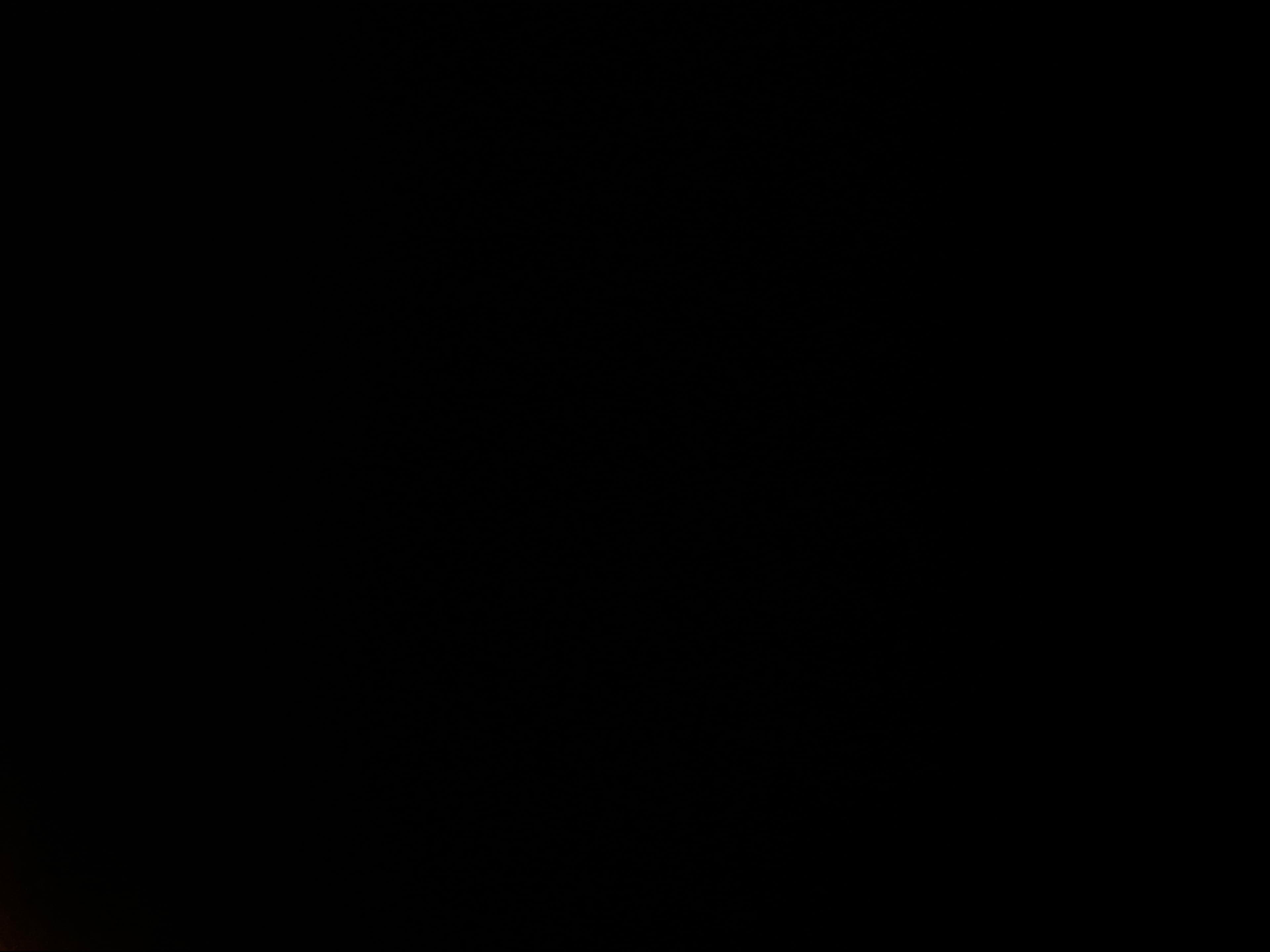 Dayday banner image