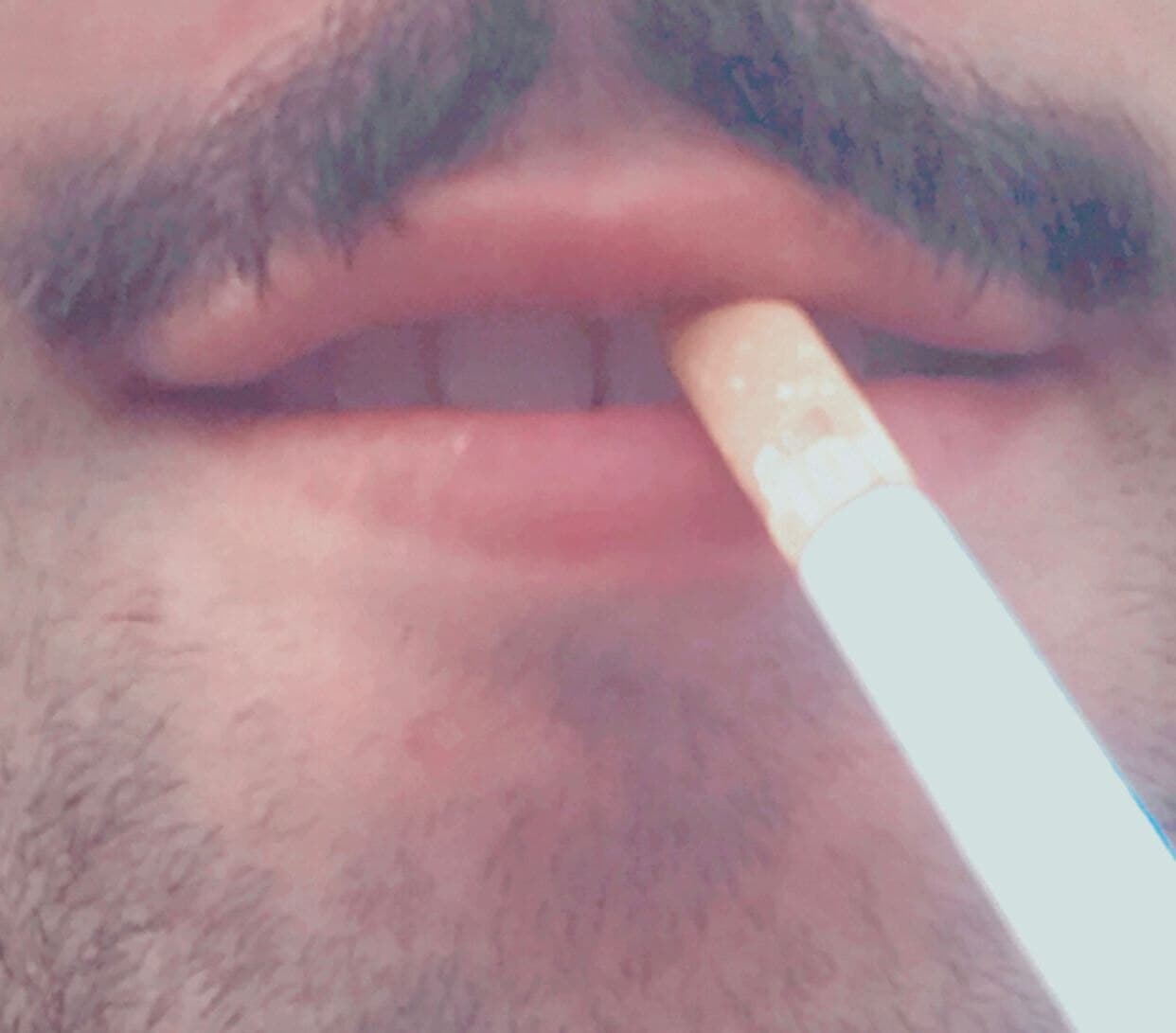 Niko Balzarini banner image