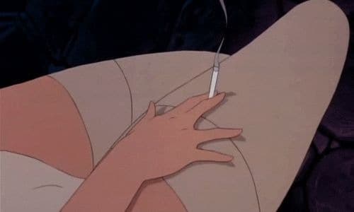 Princess Leila π banner image