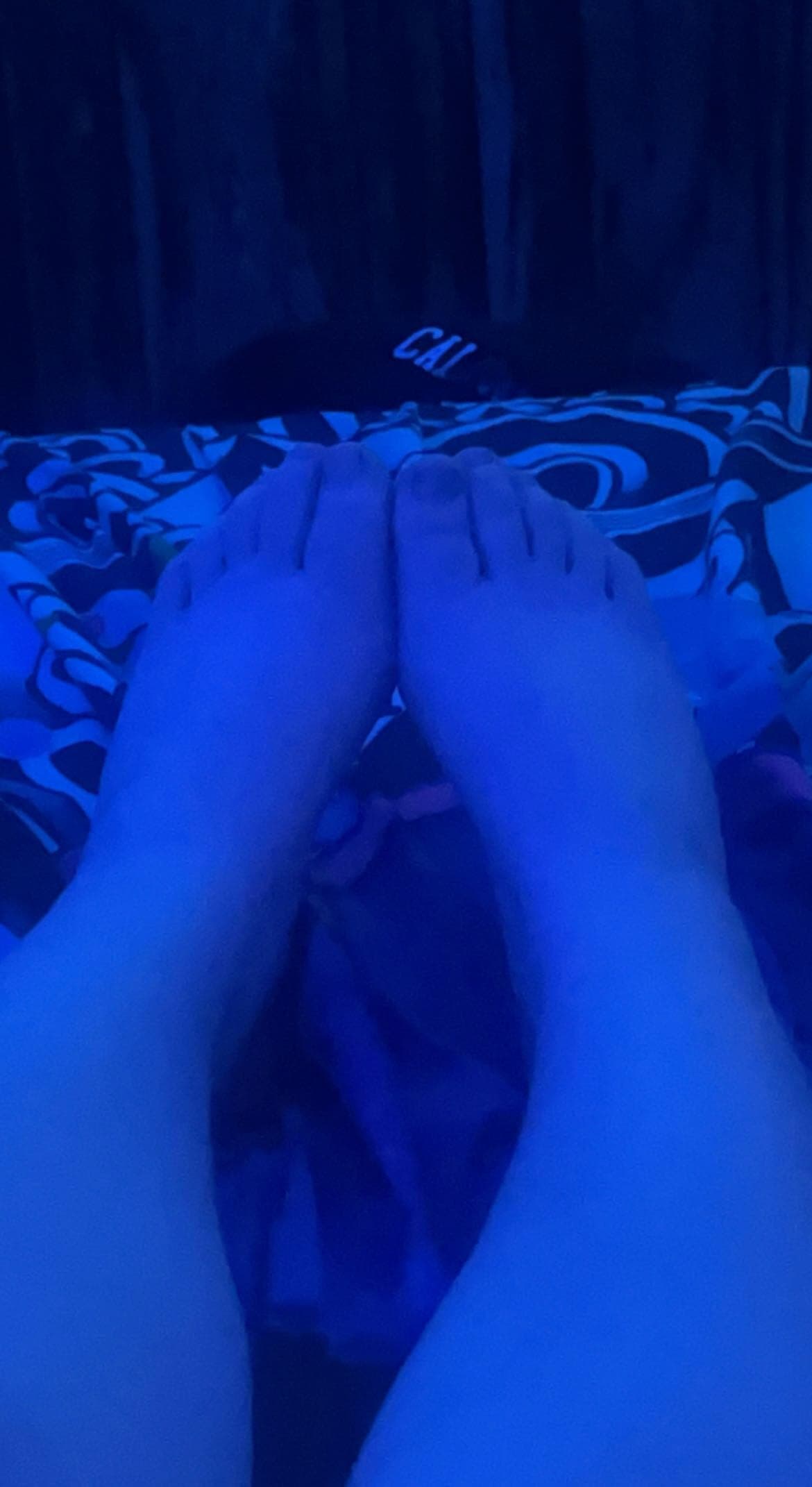 smallfeetleelee banner image