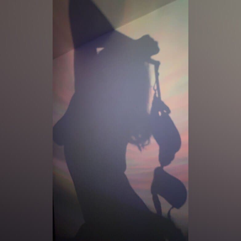 Lila Lush banner image