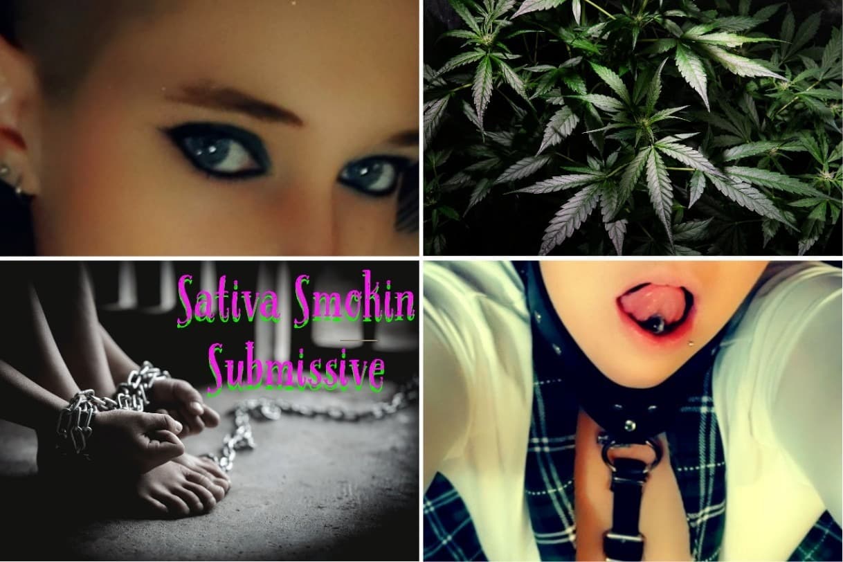 Sativa Smokin Submissive banner image