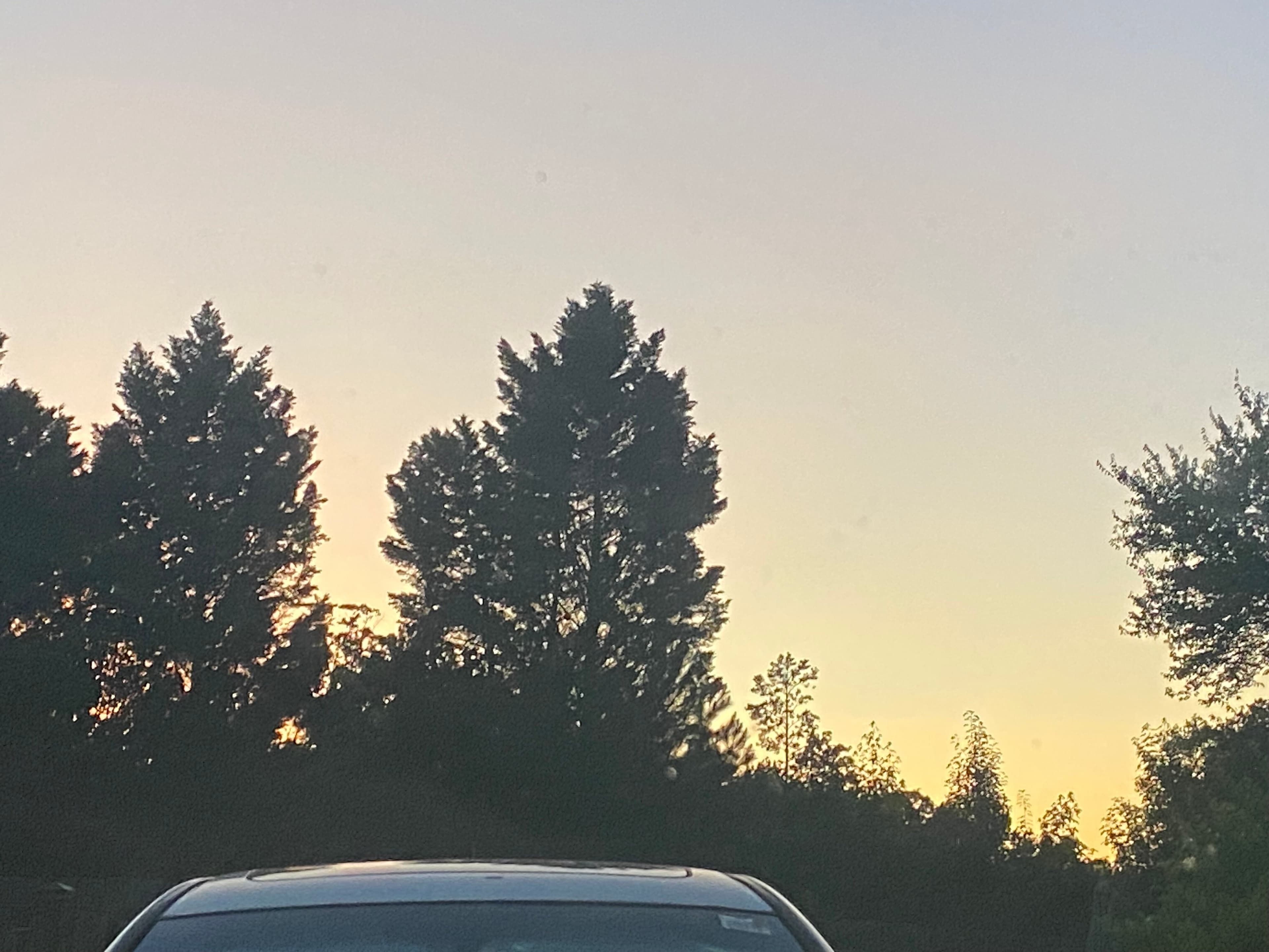 Jeffrey Smith banner image