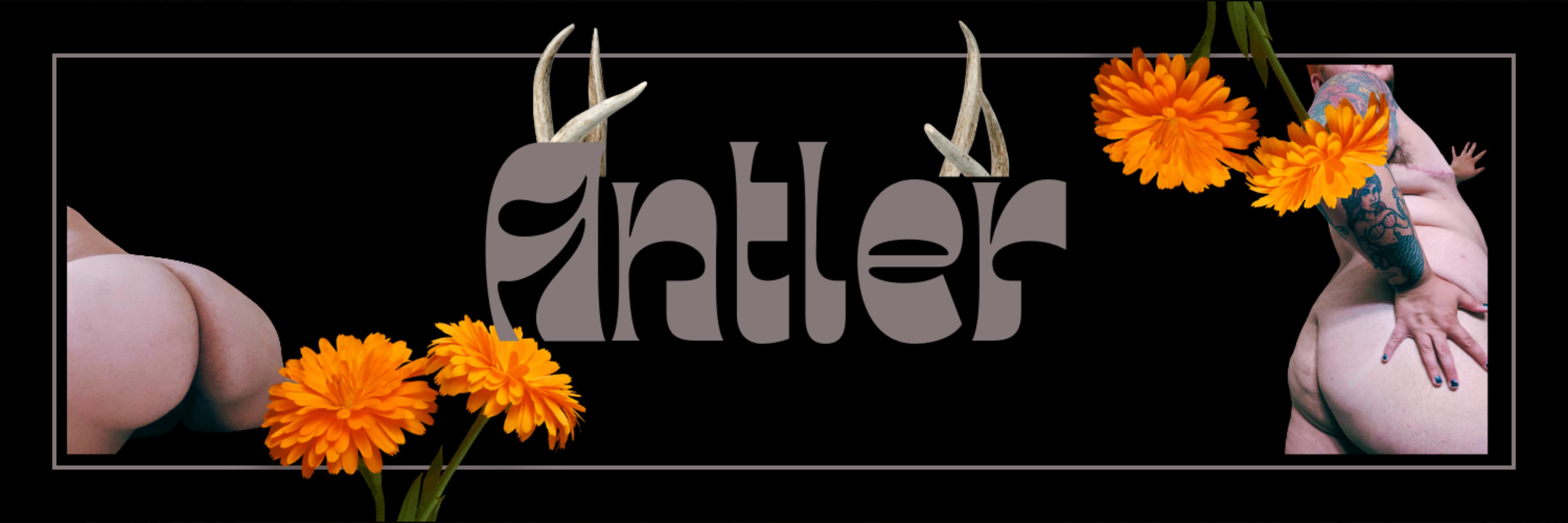 Antler banner image