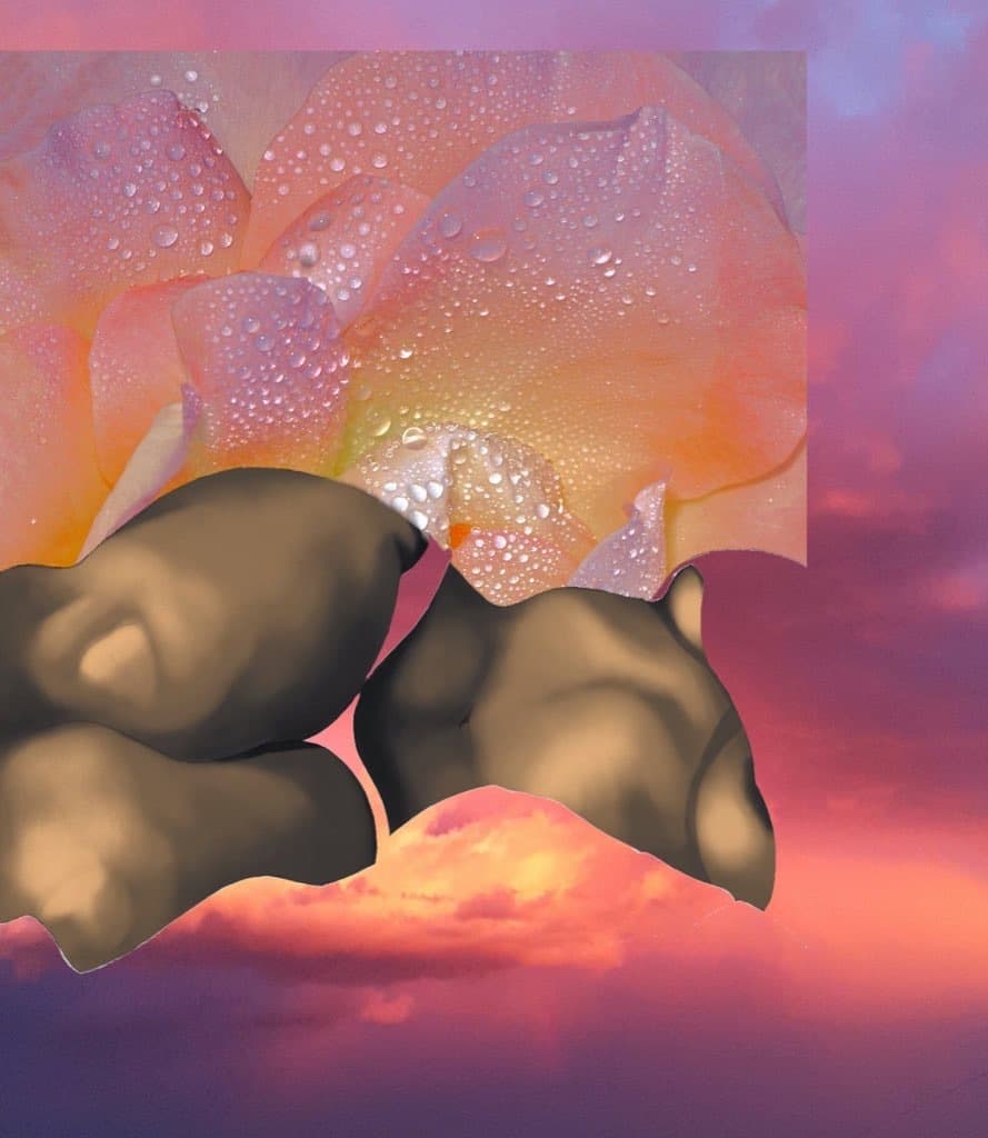 7 banner image