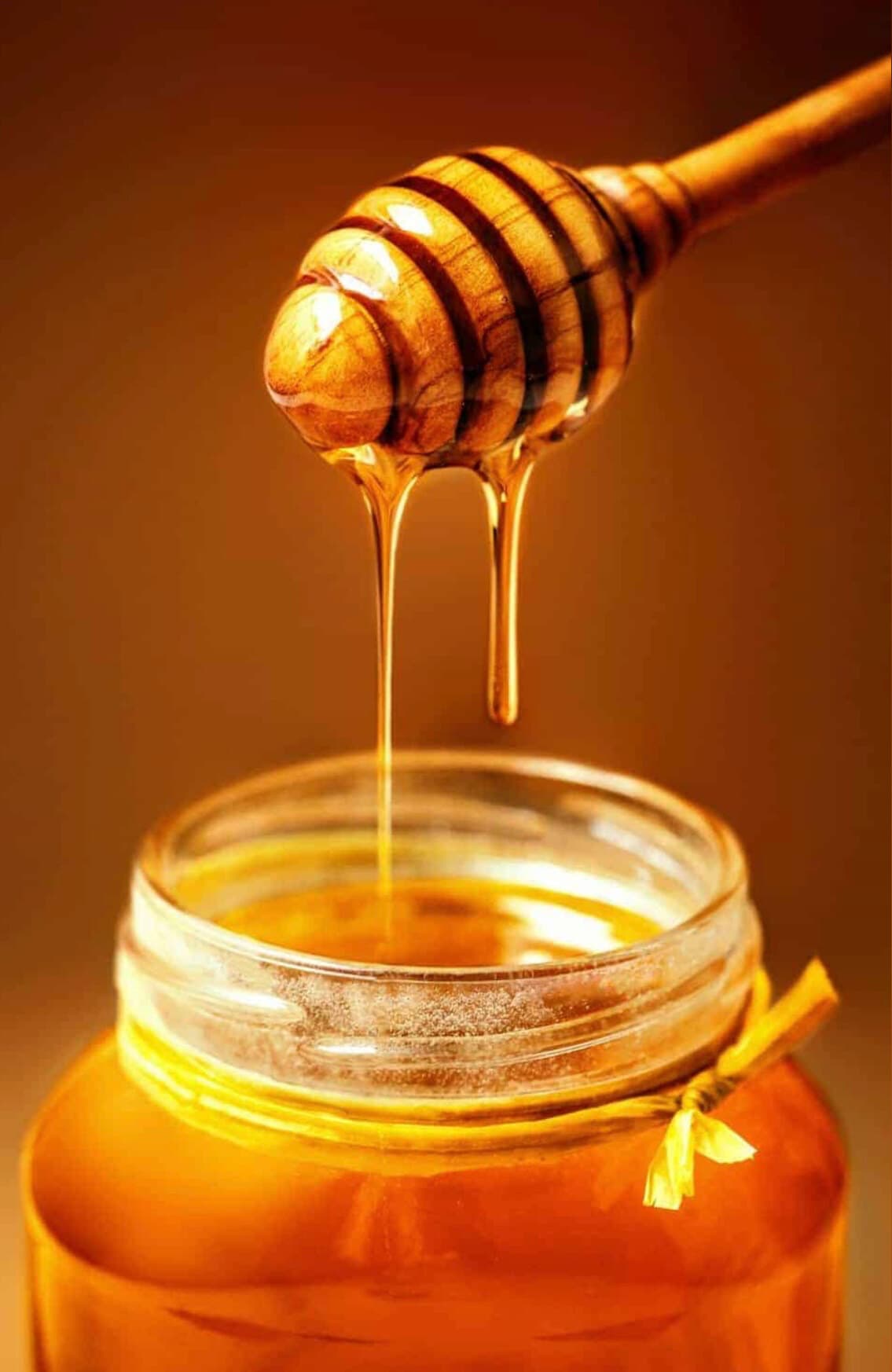 Honey_Curvz banner image