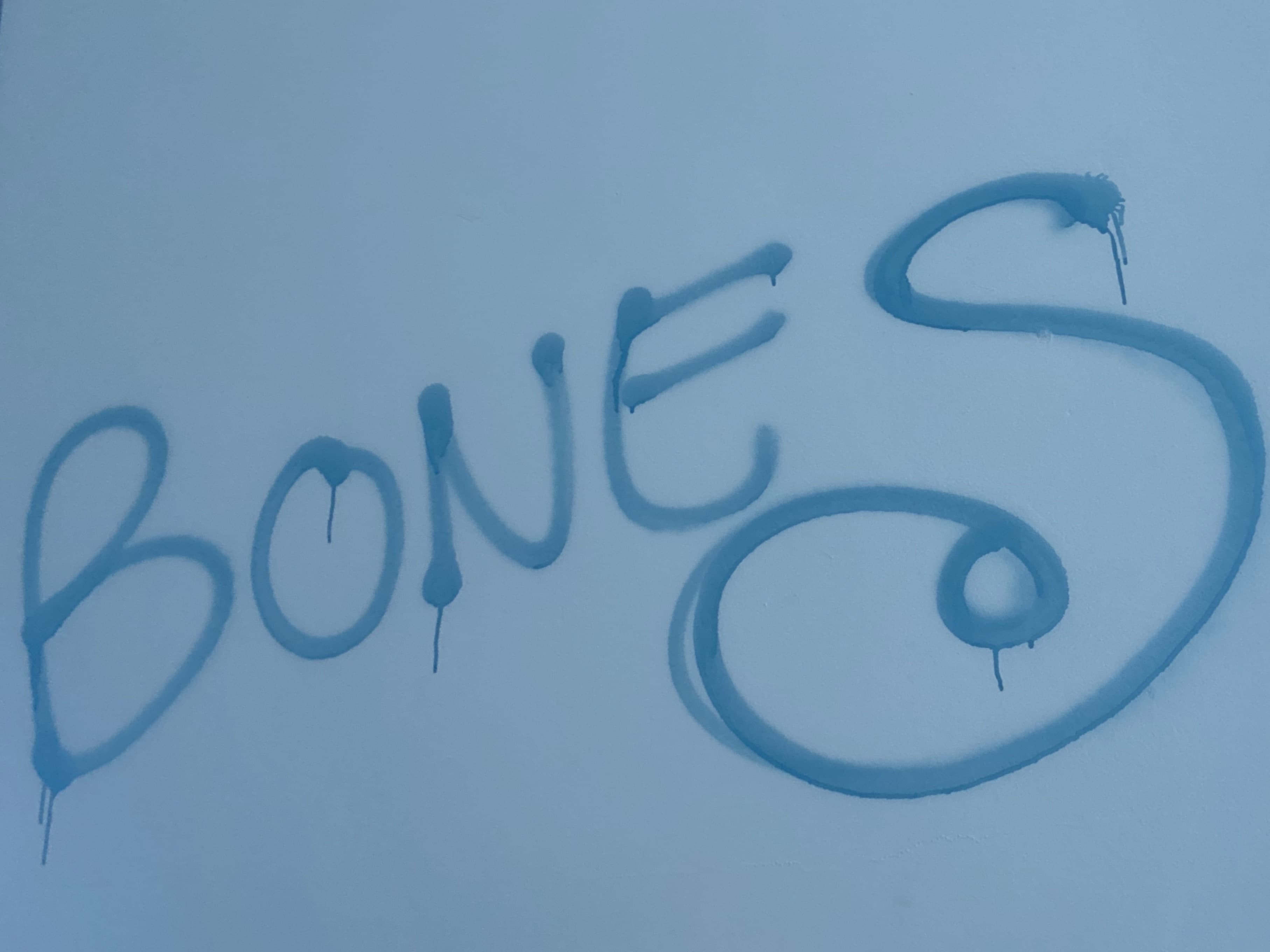 BONES banner image