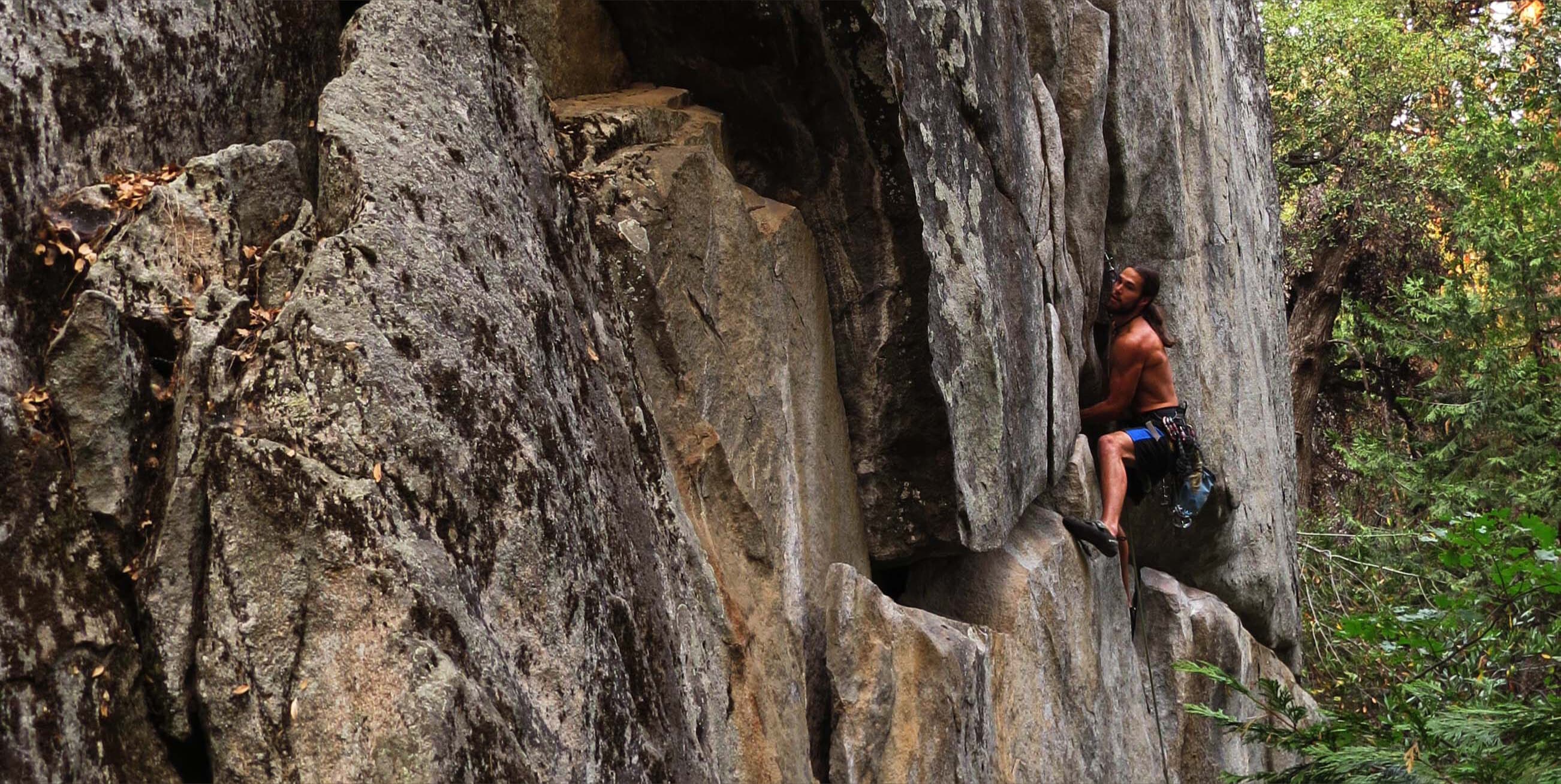 James Aestra banner image