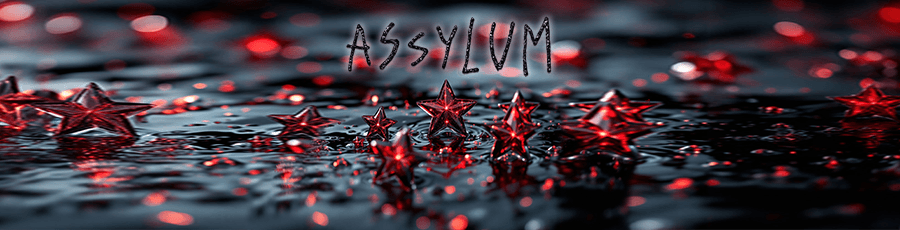 Assylum banner image