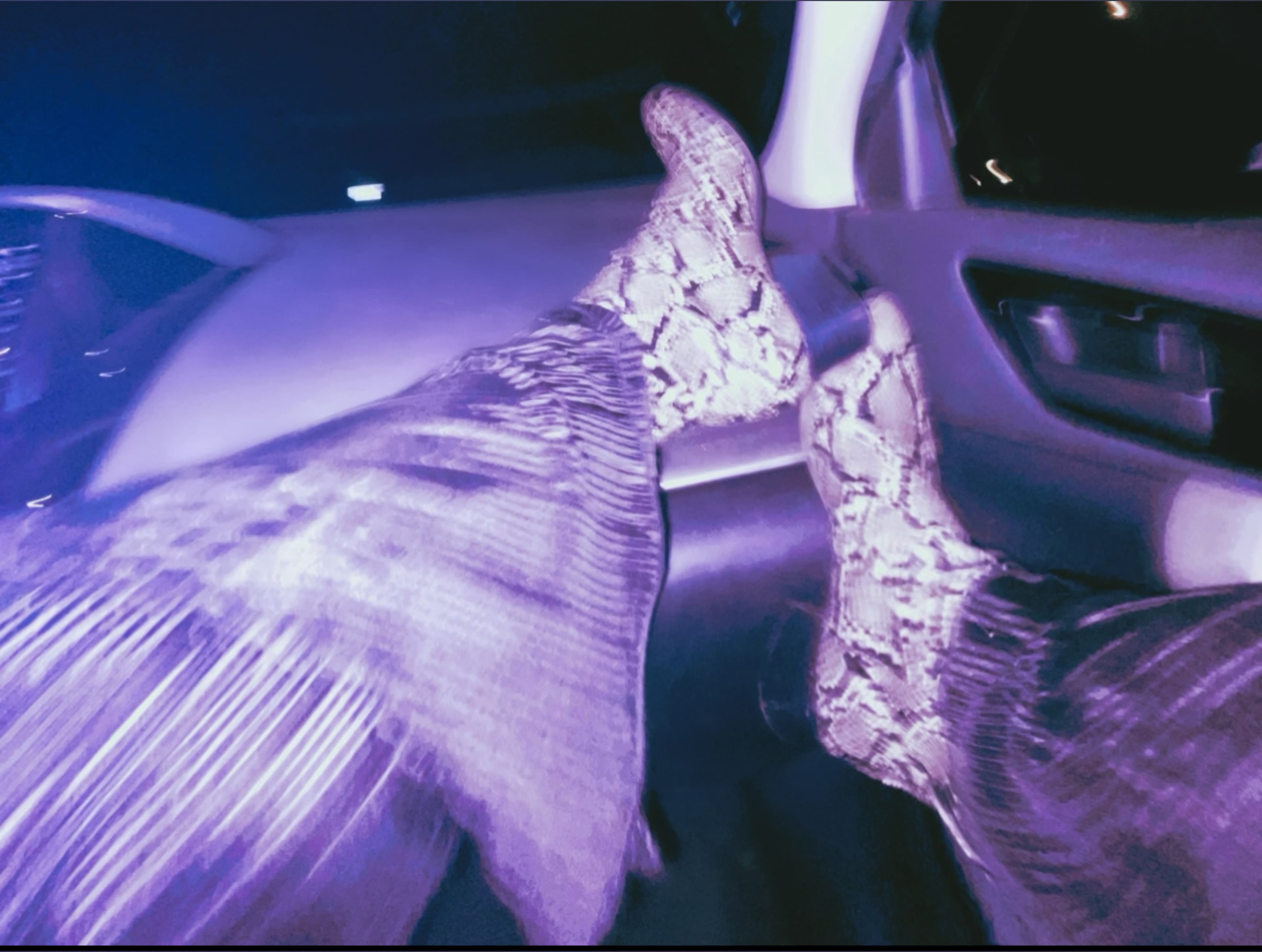 Kayla Cox banner image