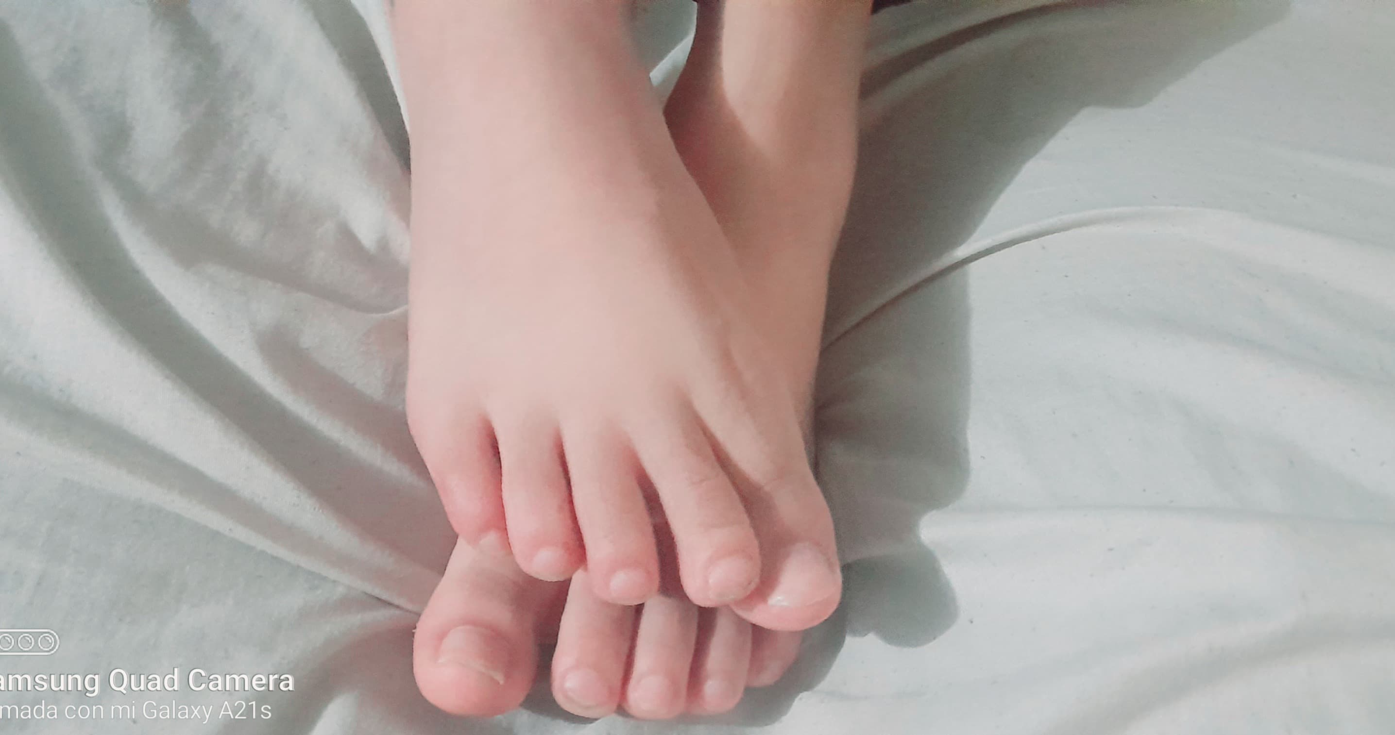 Gatubelasexy banner image