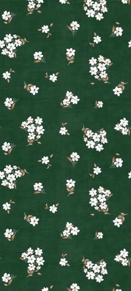 c banner image