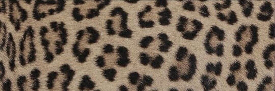 Naya Love banner image