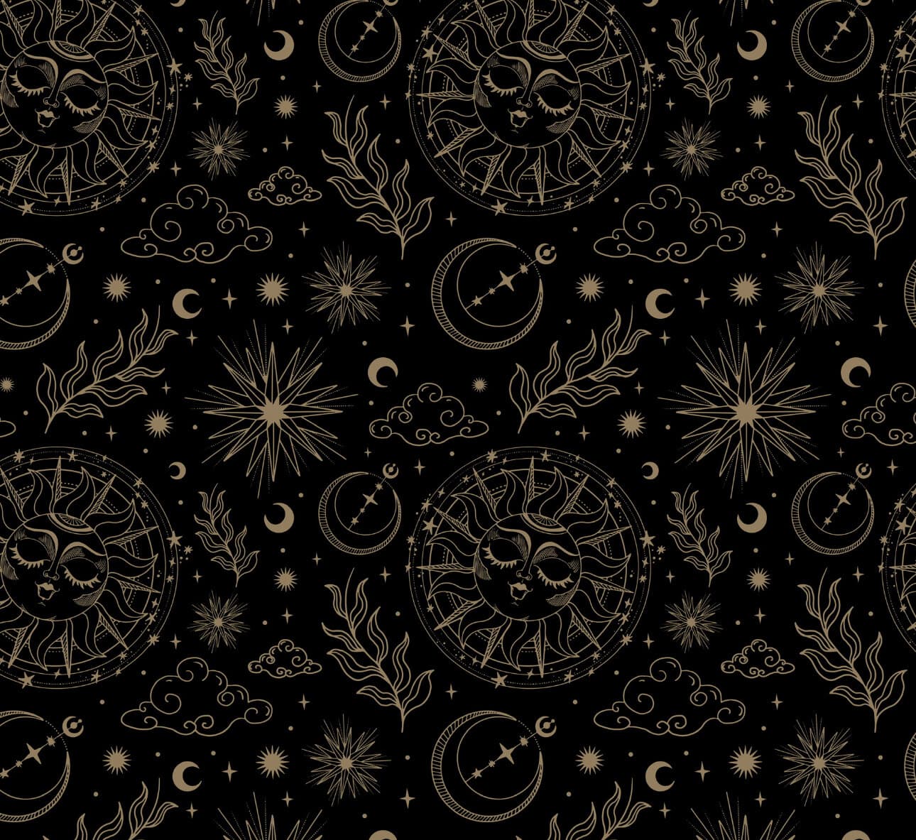 ππ₯π€π·οΈπΈοΈ banner image