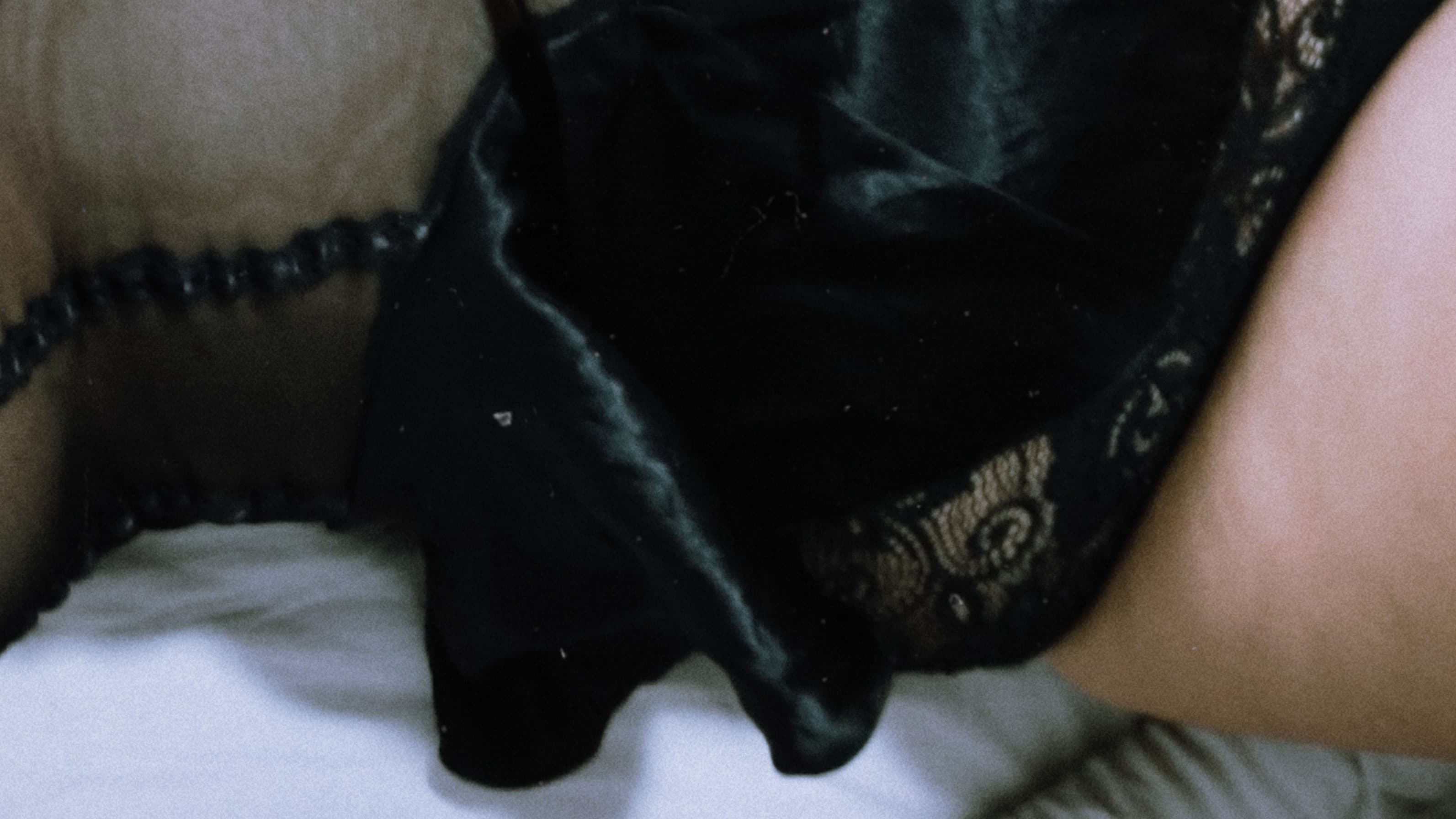 katt banner image