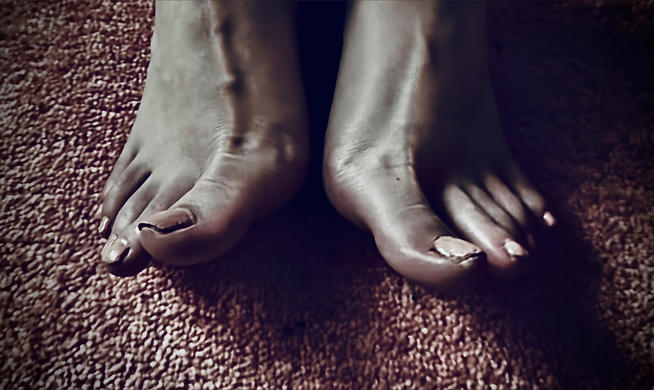 Tasteytoes banner image
