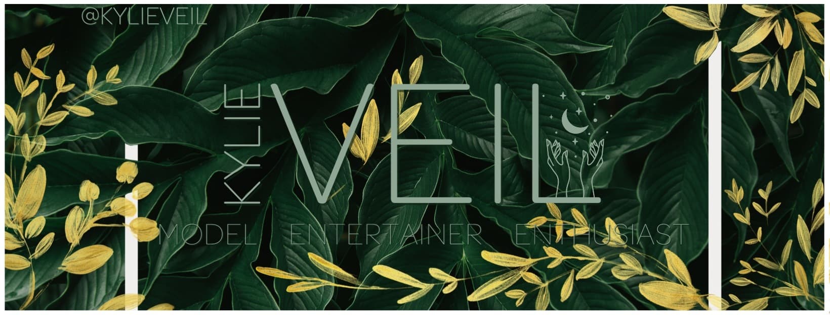 KylieVeil banner image