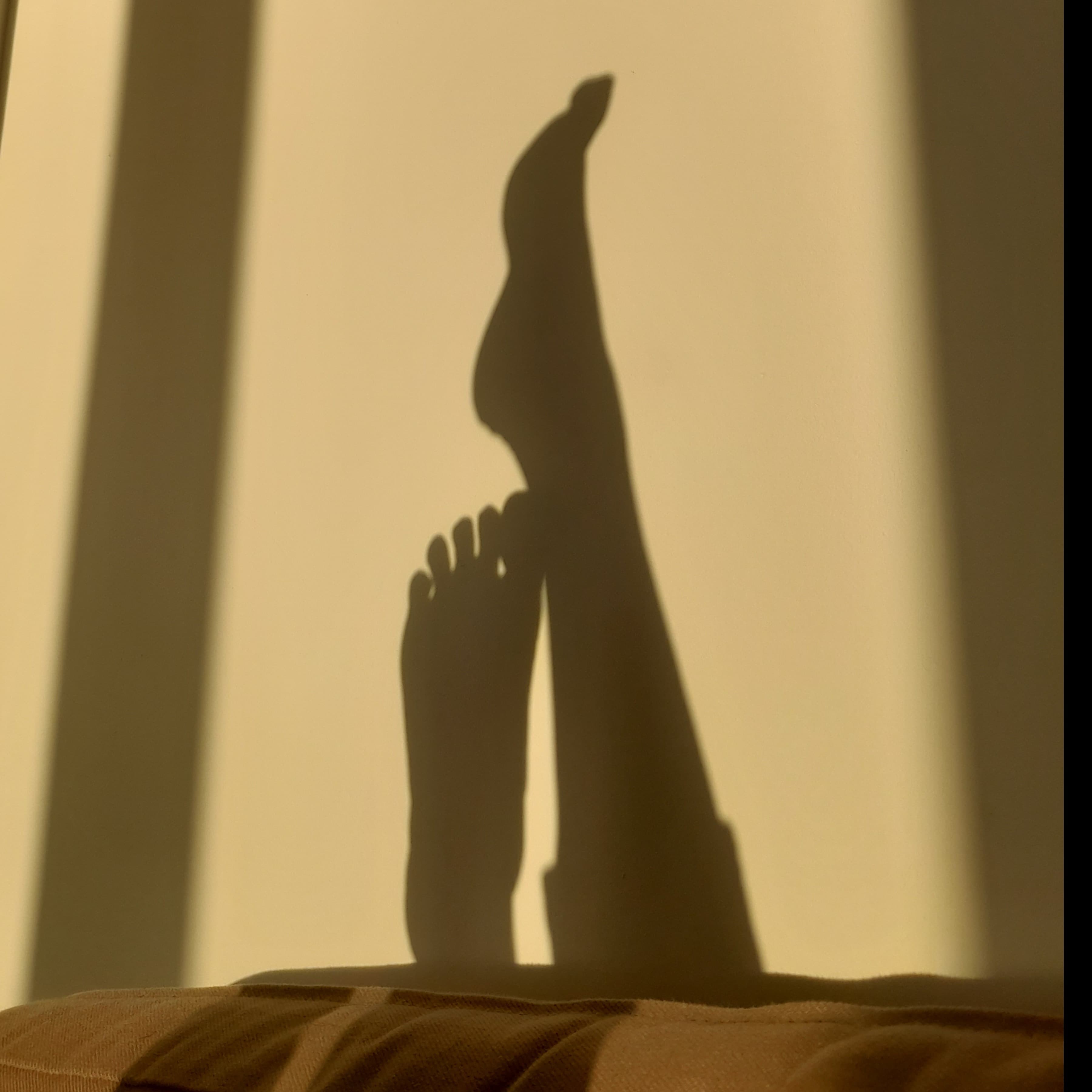 Mytenderfeet banner image