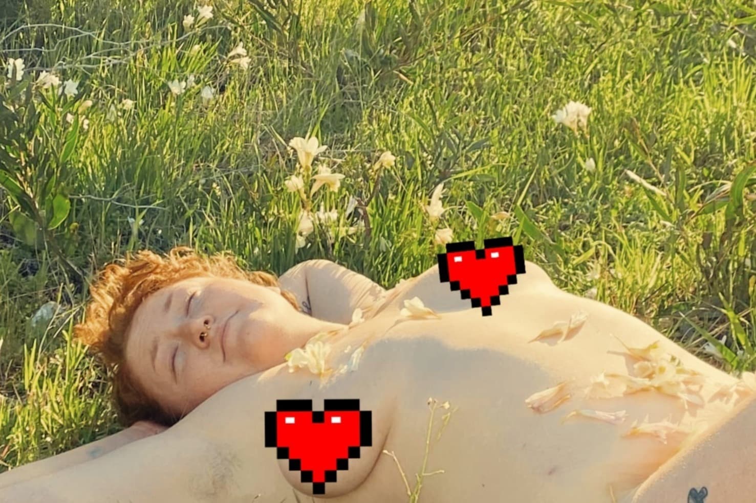 Chooky banner image